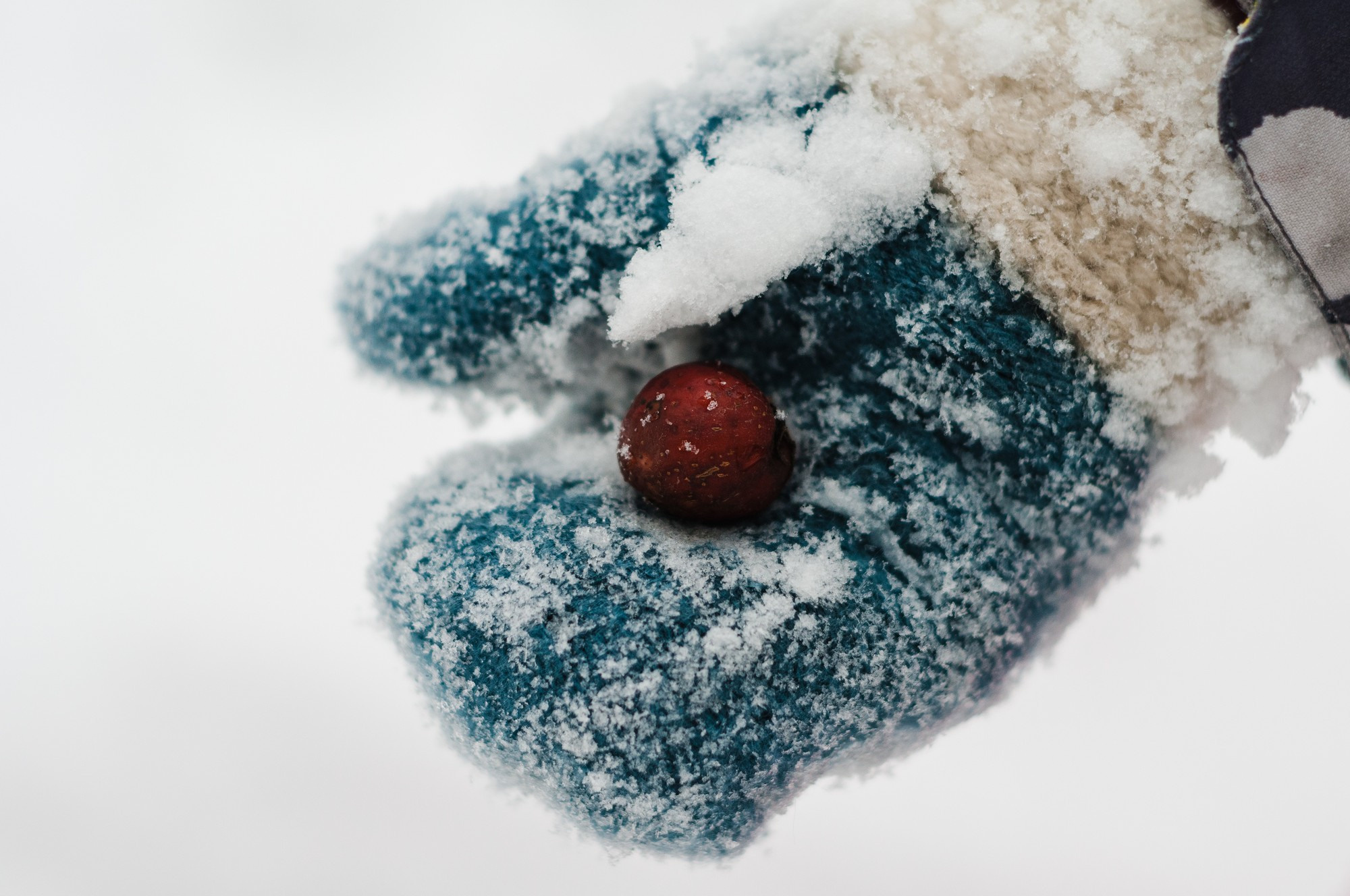 2019 Детские портреты. Семейный, портретный, репортажный фотограф lifestyle в Москве и Кирове