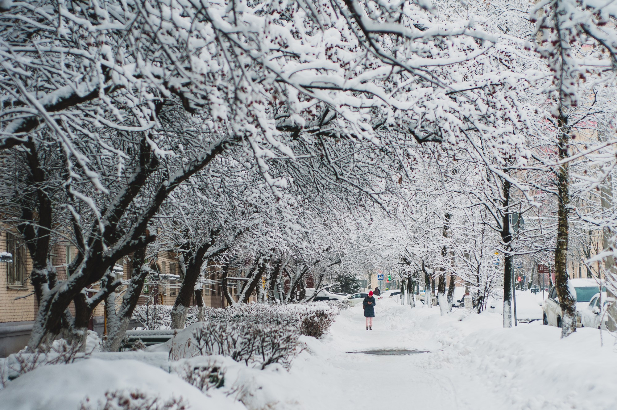 2019 Детские портреты. Семейный, портретный, репортажный фотограф lifestyle в Москве и Кирове