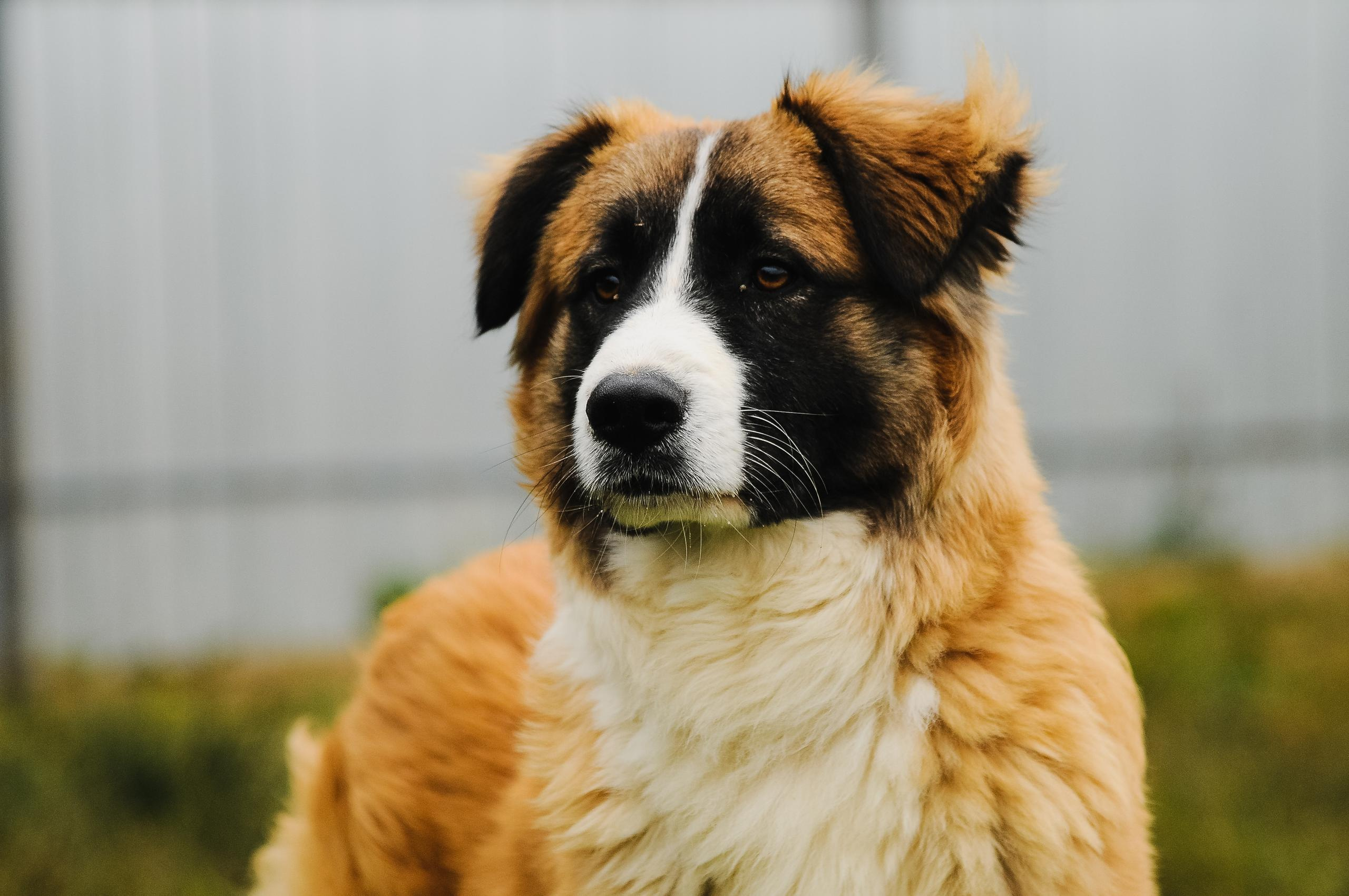 Отзывы. Семейный, портретный, репортажный фотограф lifestyle в Москве и Кирове