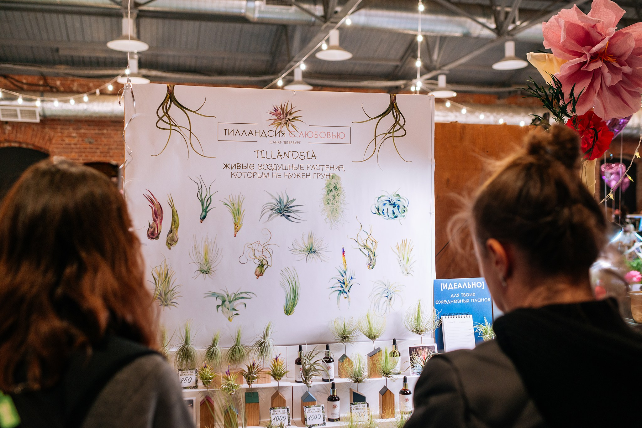 ВАУ Фест. Март 26. Репортажный фотограф в Санкт-Петербурге Анастасия Клёпова