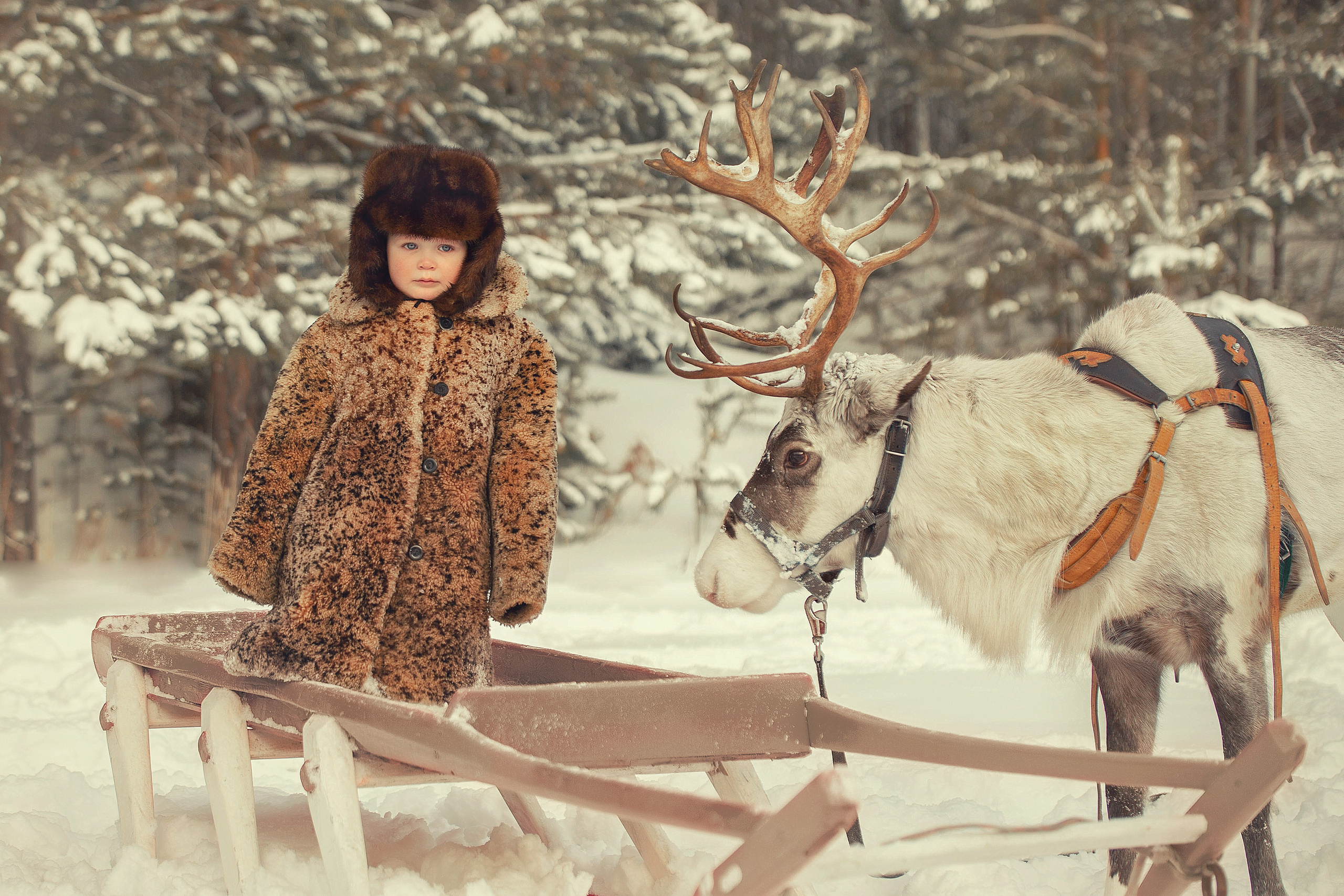 На ферме!. Индивидульный, семейный и детский фотограф в Тюмени Елена Пахомычева