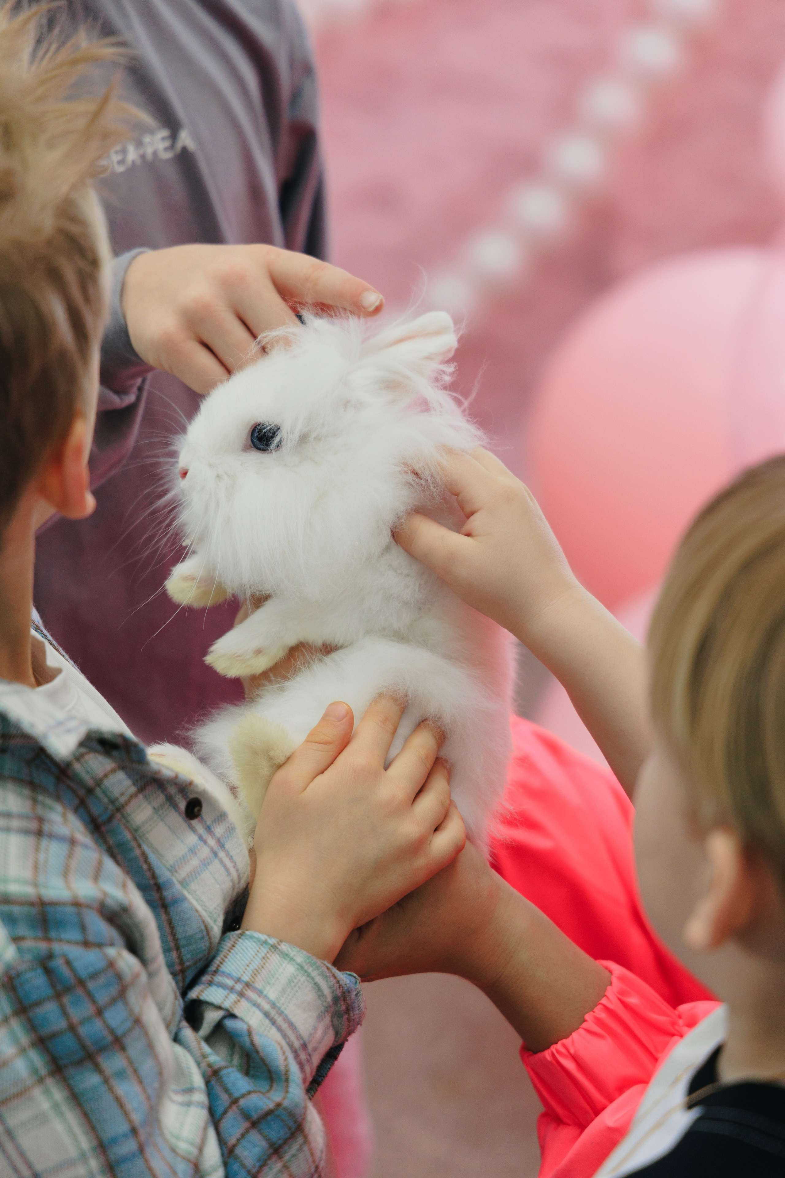 Злате 7 лет | Пуговка. Свадебный фотограф в Минске Владислав Бабич