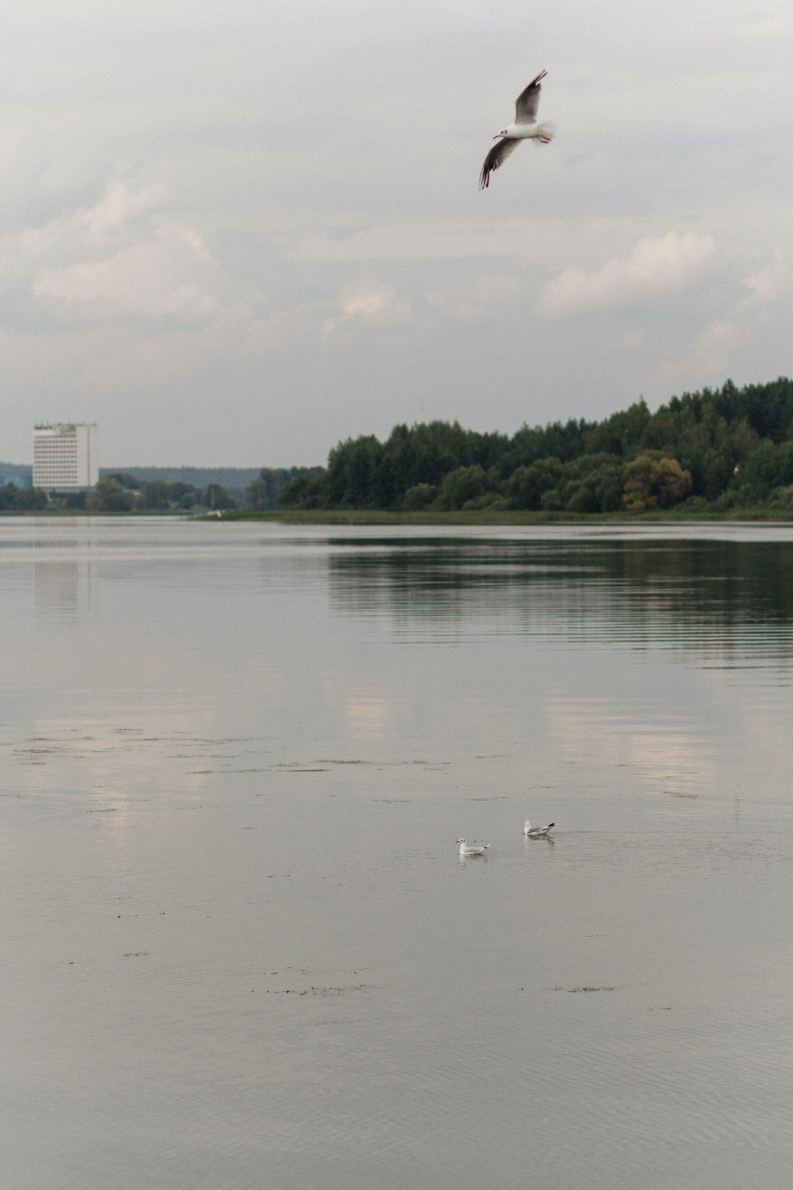 Андрей & Лера | ROBINSON CLUB. Свадебный фотограф в Минске Владислав Бабич