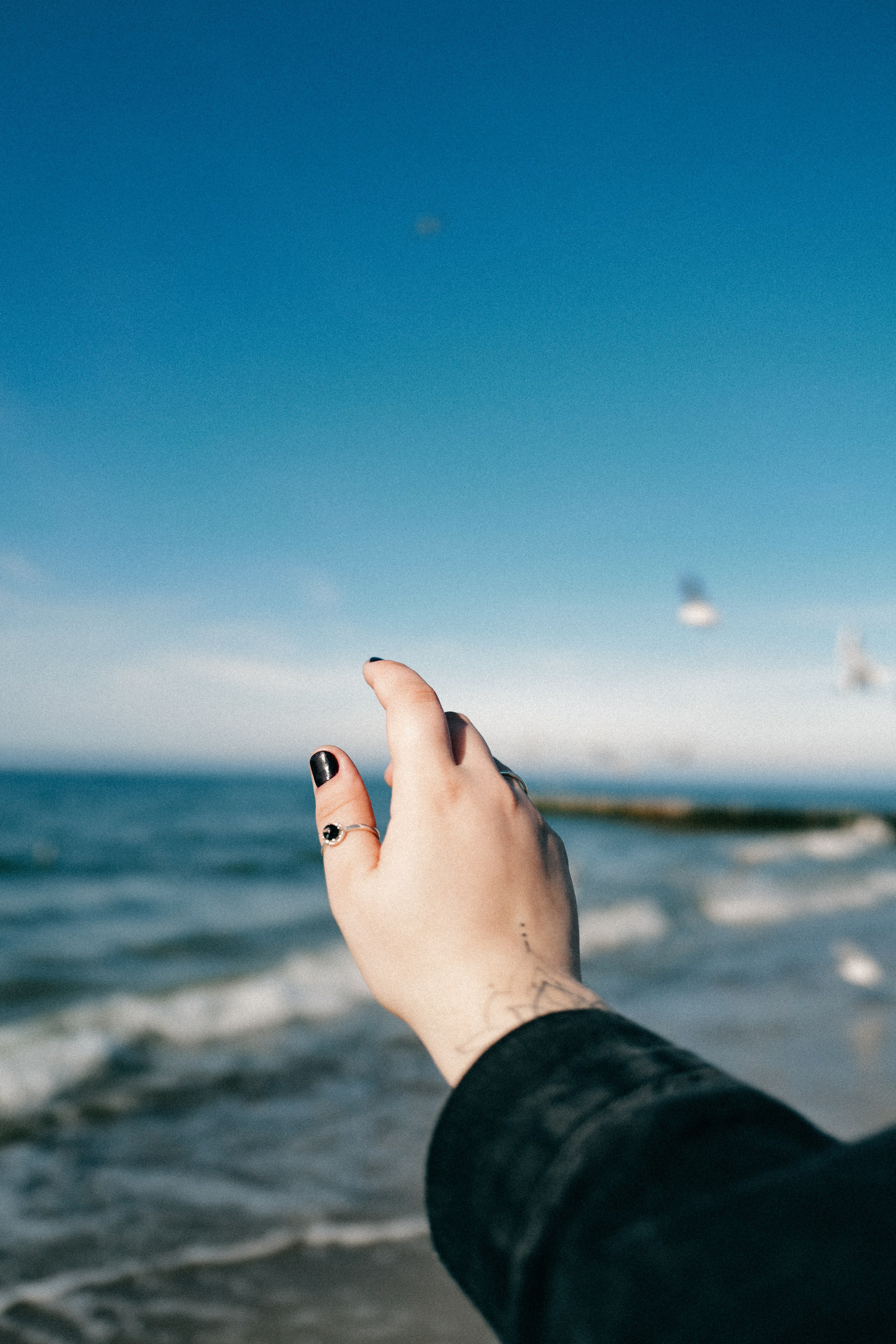 Zelenogradsk. Фотограф София Комкина