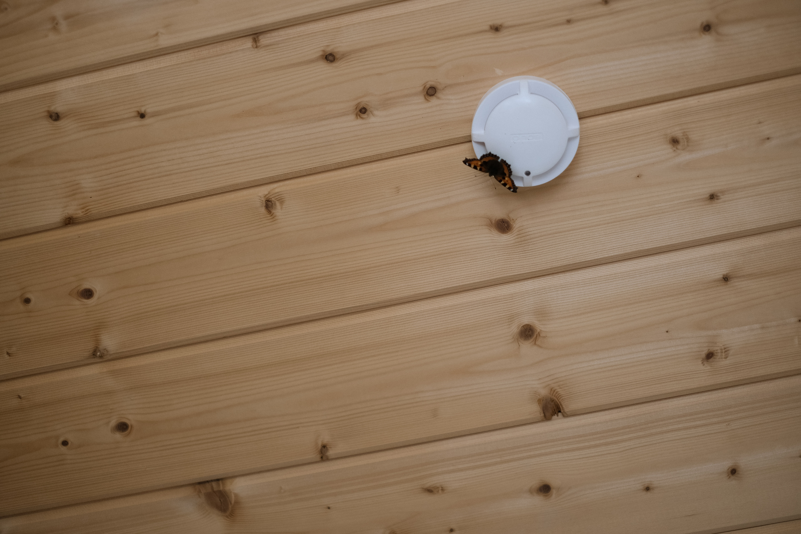 Надежда и Алексей. Селиванова Виктория свадебный фотограф