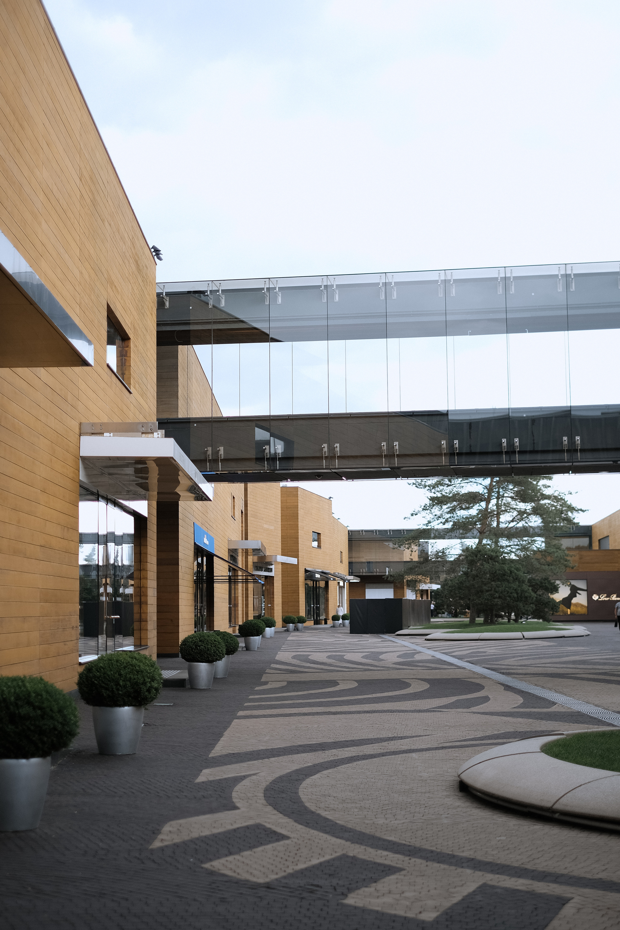 Надежда и Алексей. Селиванова Виктория свадебный фотограф