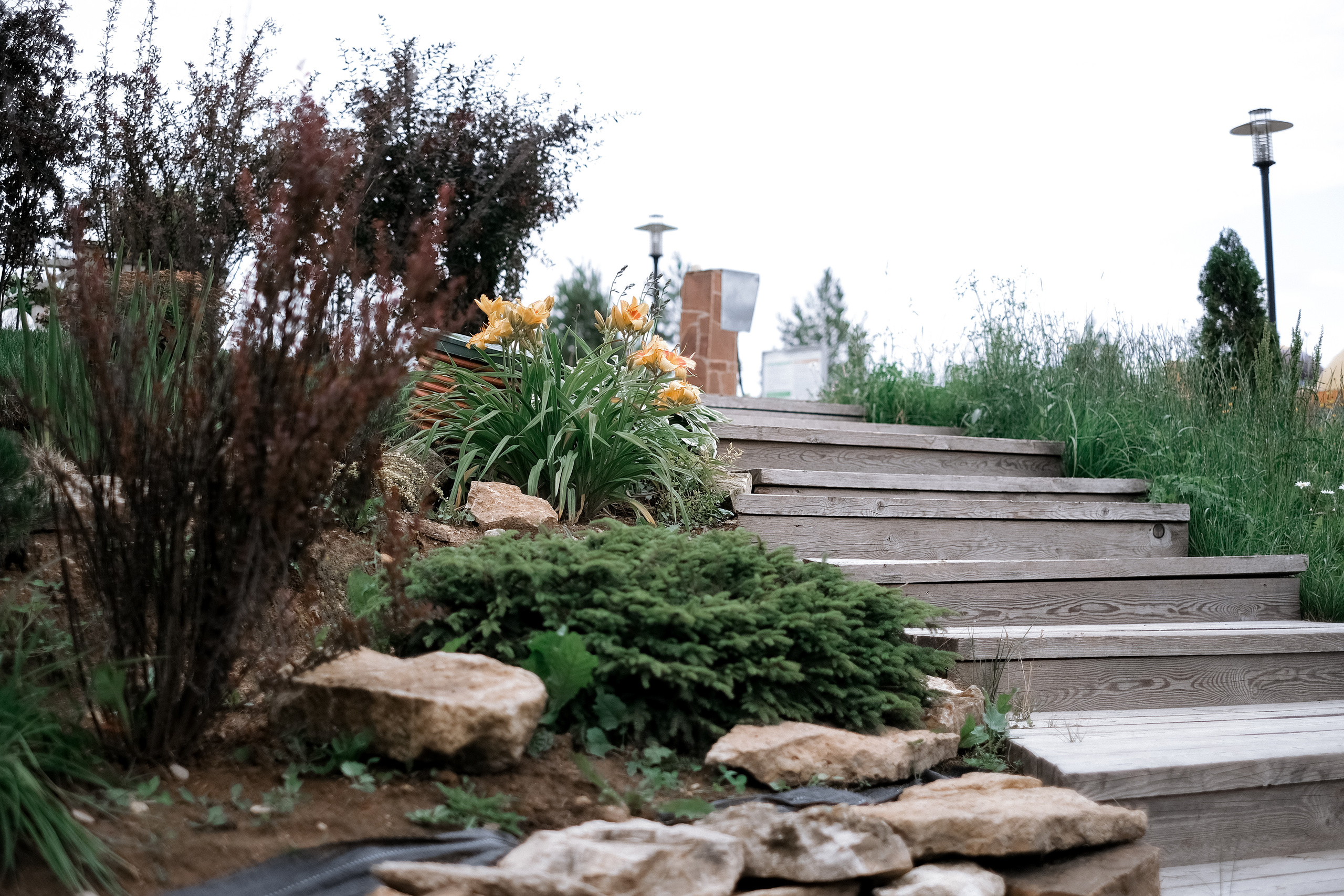 Надежда и Алексей. Селиванова Виктория свадебный фотограф