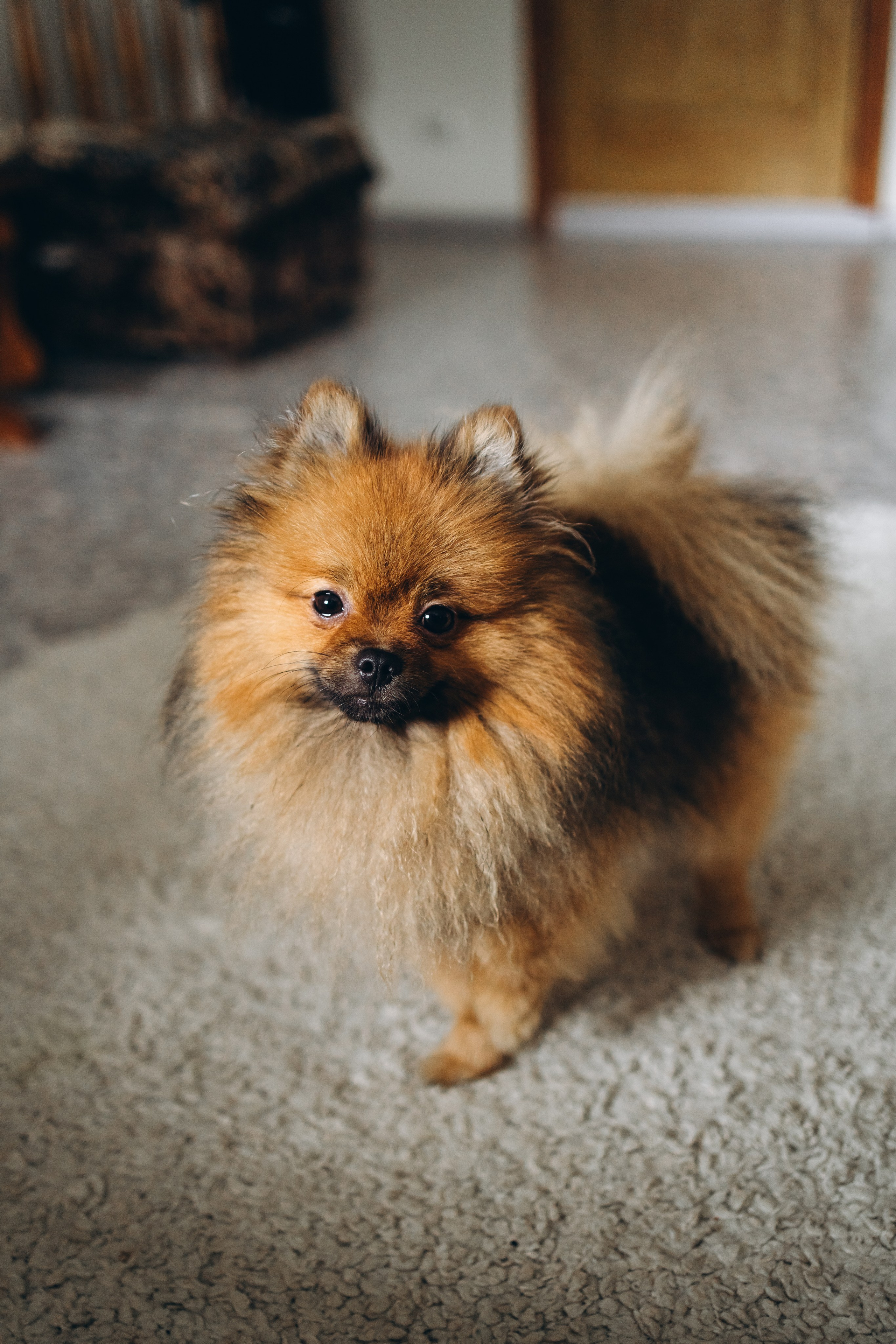 Ирина и Виктор. Семейный и свадебный фотограф Анастасия Слободчикова. Лысьва, Чусовой, Пермь