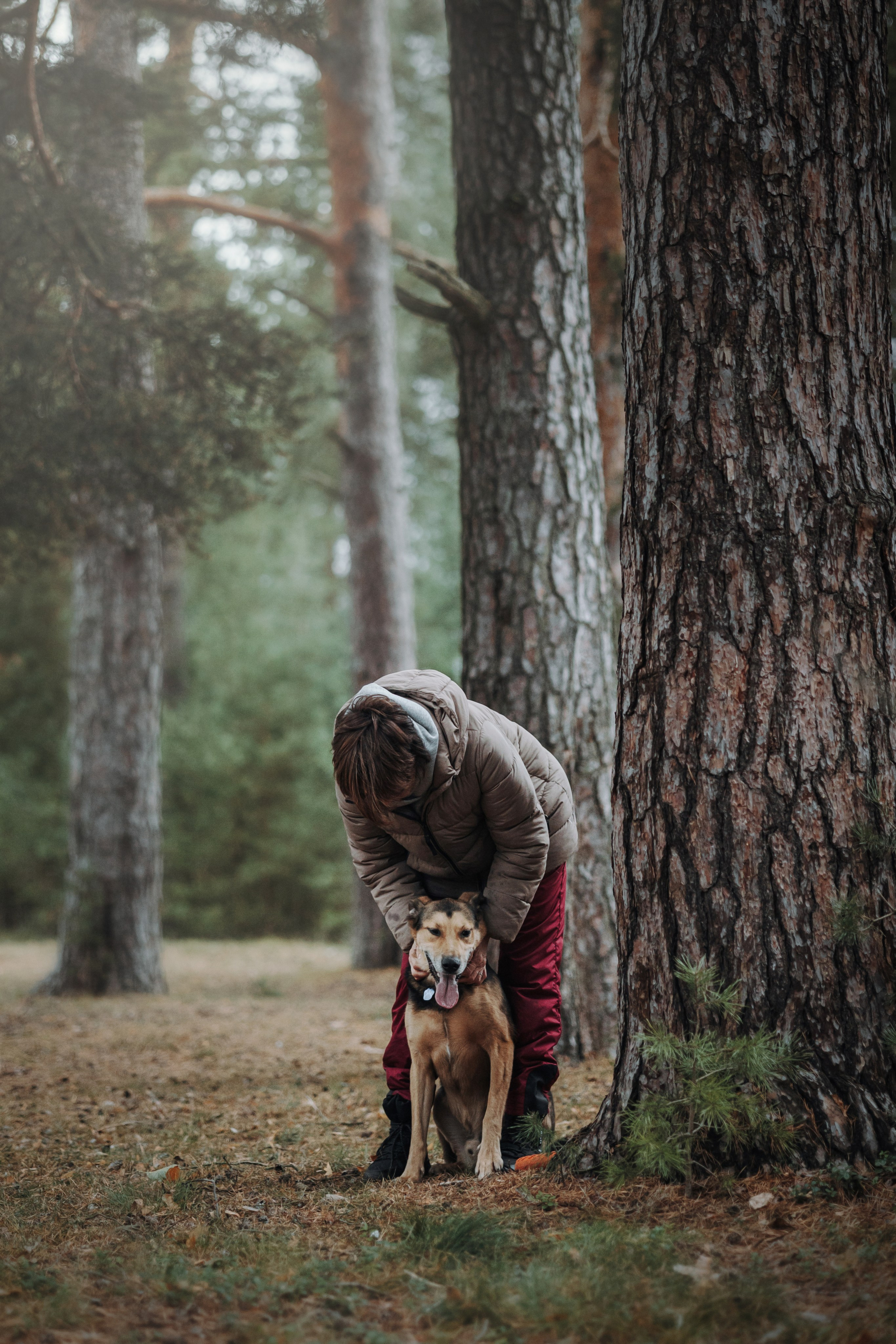 Наталья и Того. Фотограф — Анималист | Санкт-Петербург