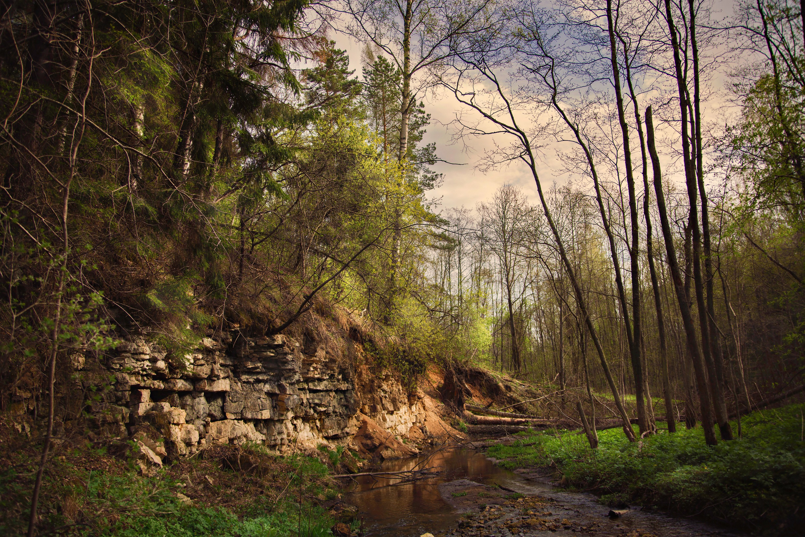 Фотограф Юлия Глазкова