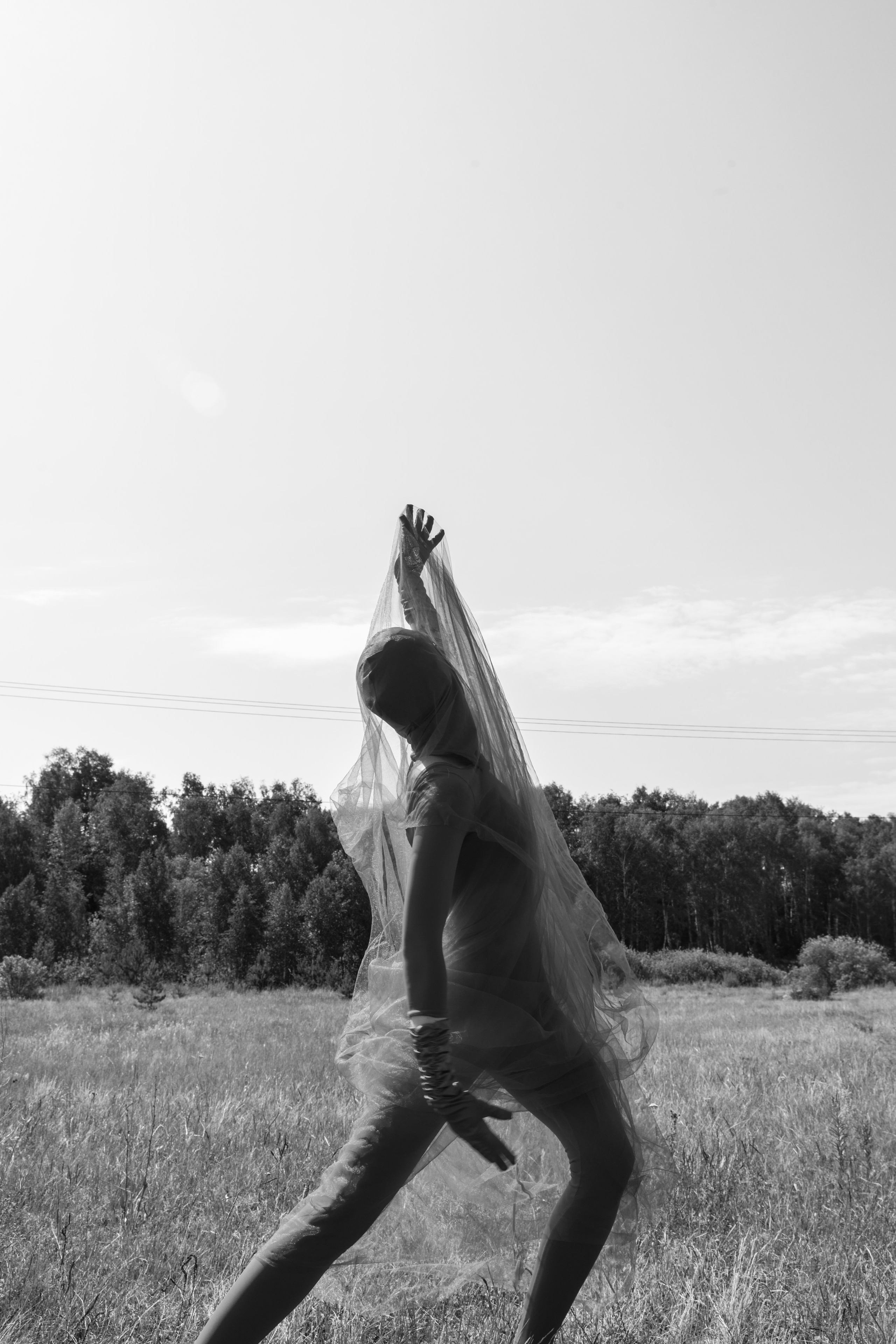 TERRA NOSTRA. Yulia Yurchevskaya | Art Director & Visual Visionary