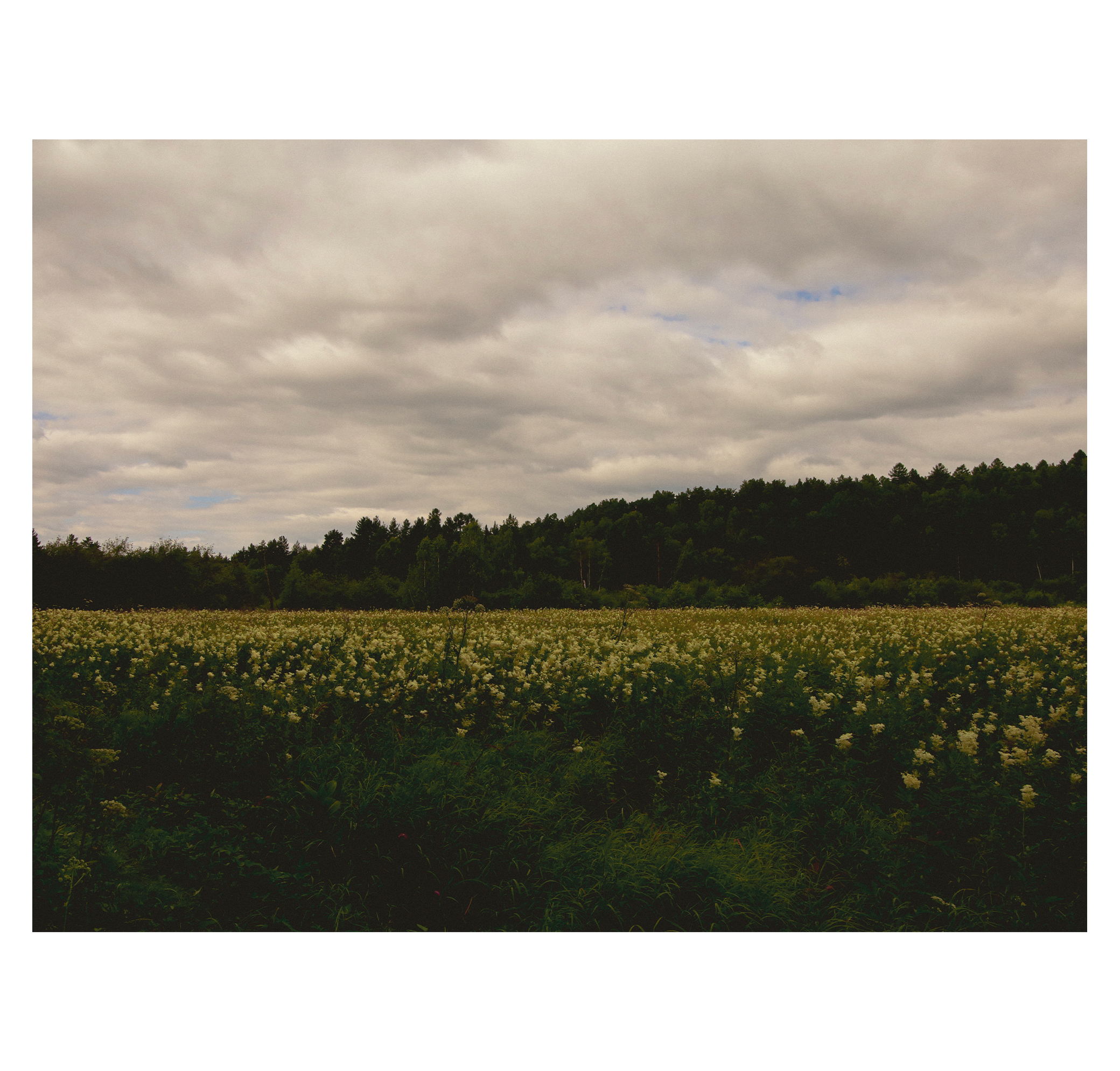 Summer hike. Фотограф/дизайнер в Екатеринбурге Хитрый Дмитрий