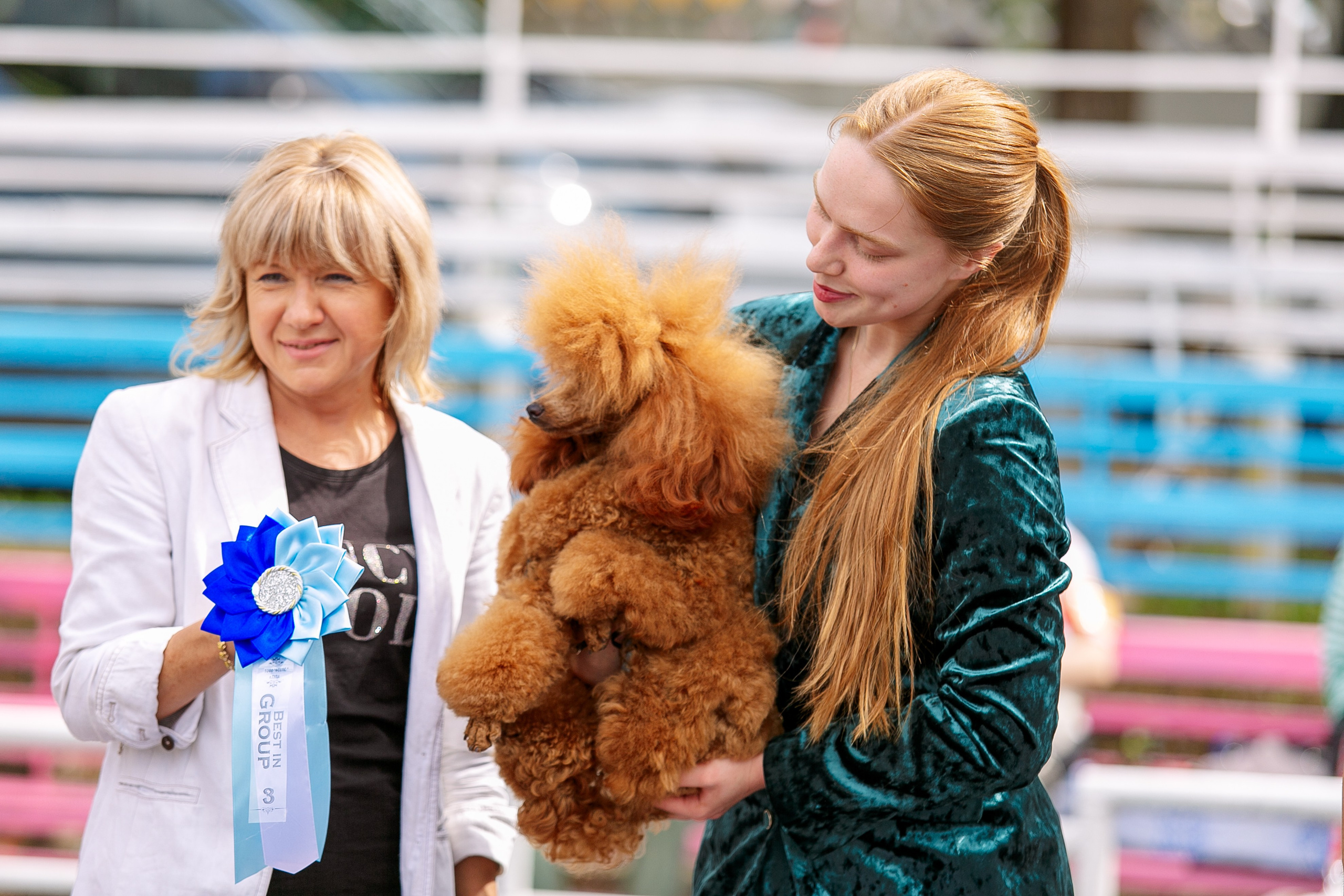 Окунулась вновь в атмосферу выставки…. Школьный фотограф в Туле Светлана Привезенцева