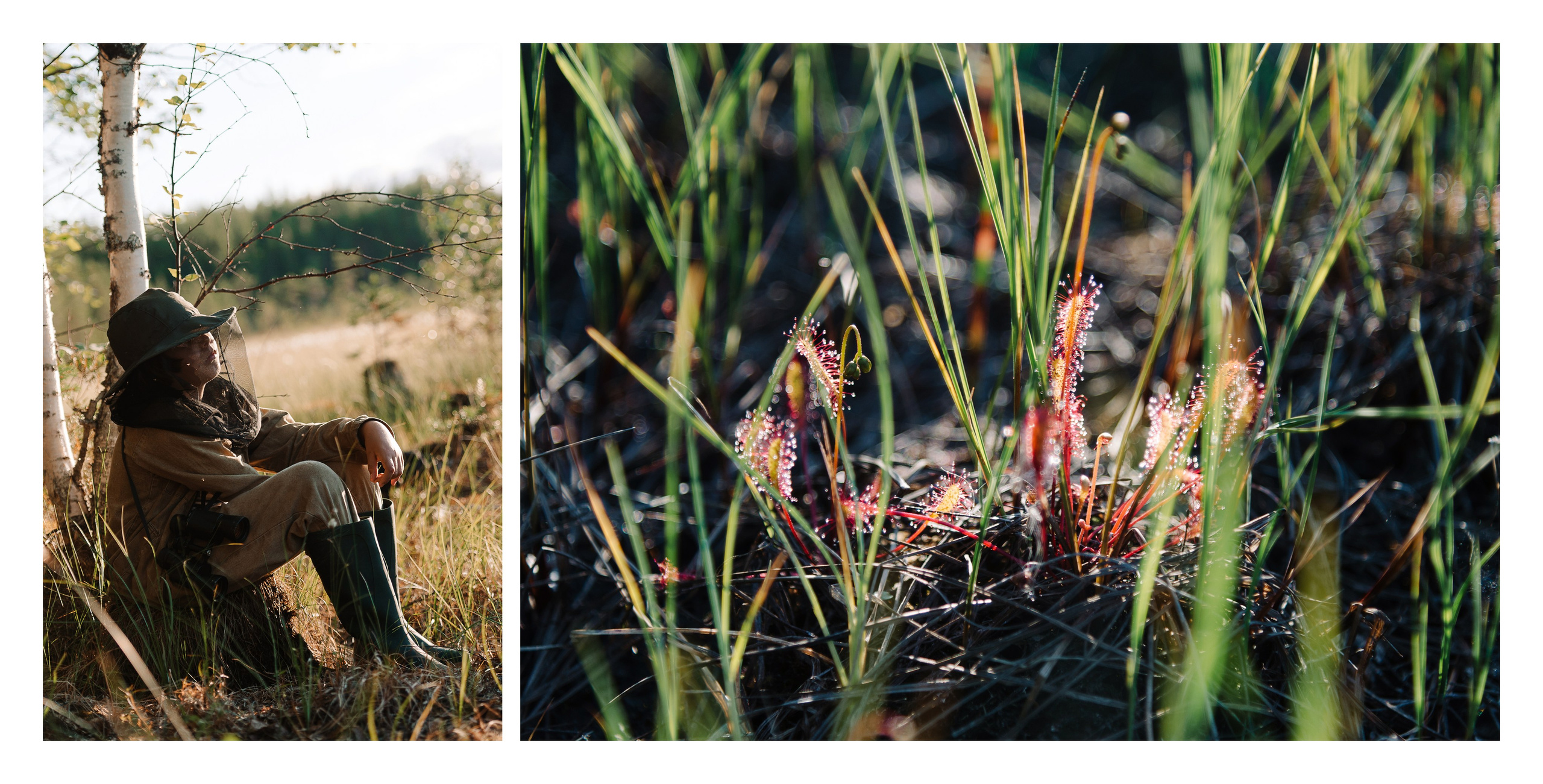 Белое море. Фотограф Алиса Калинина