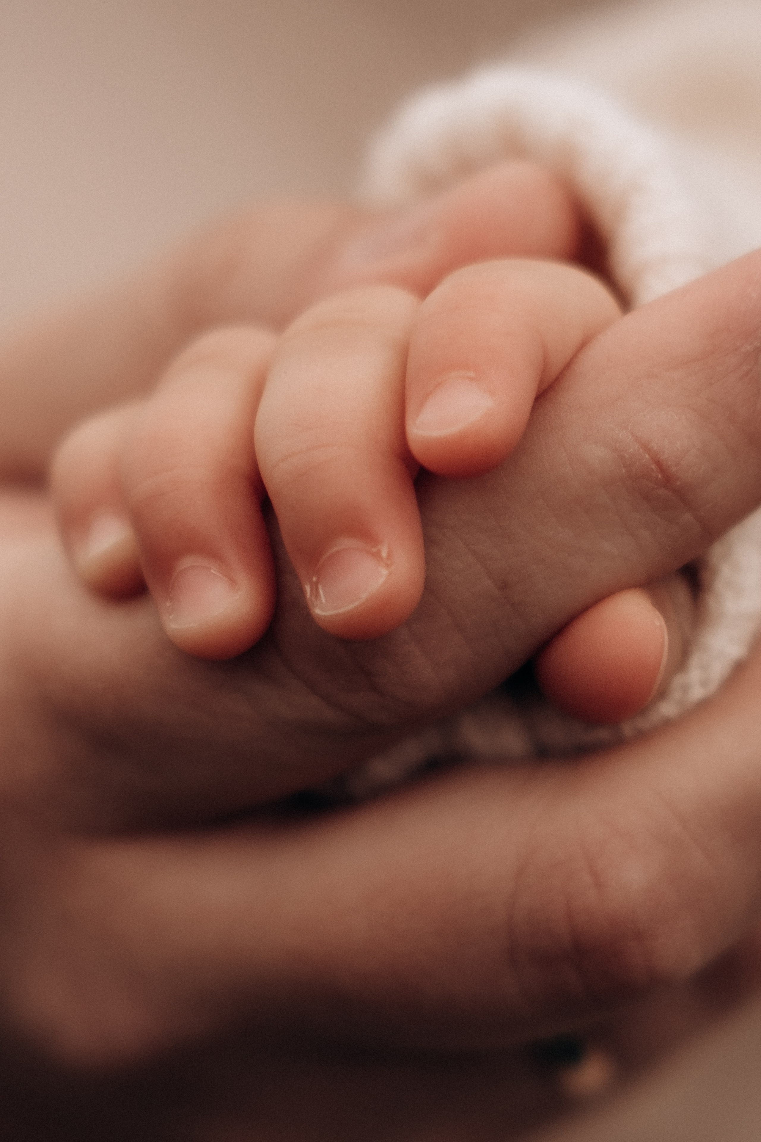 Семейные фотосессии в Сочи, Сириус и на Красной поляне. Семейный, свадебный фотограф Сочи, Адлер, Красная поляна