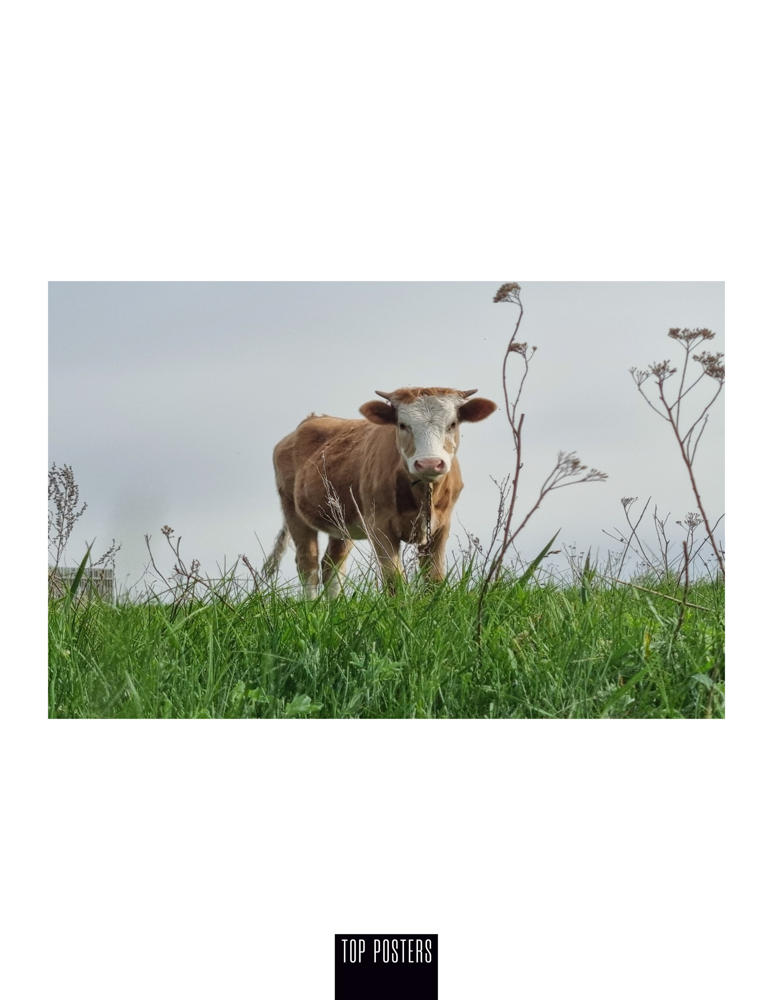 Достижения. Фотограф Елена в Волгограде