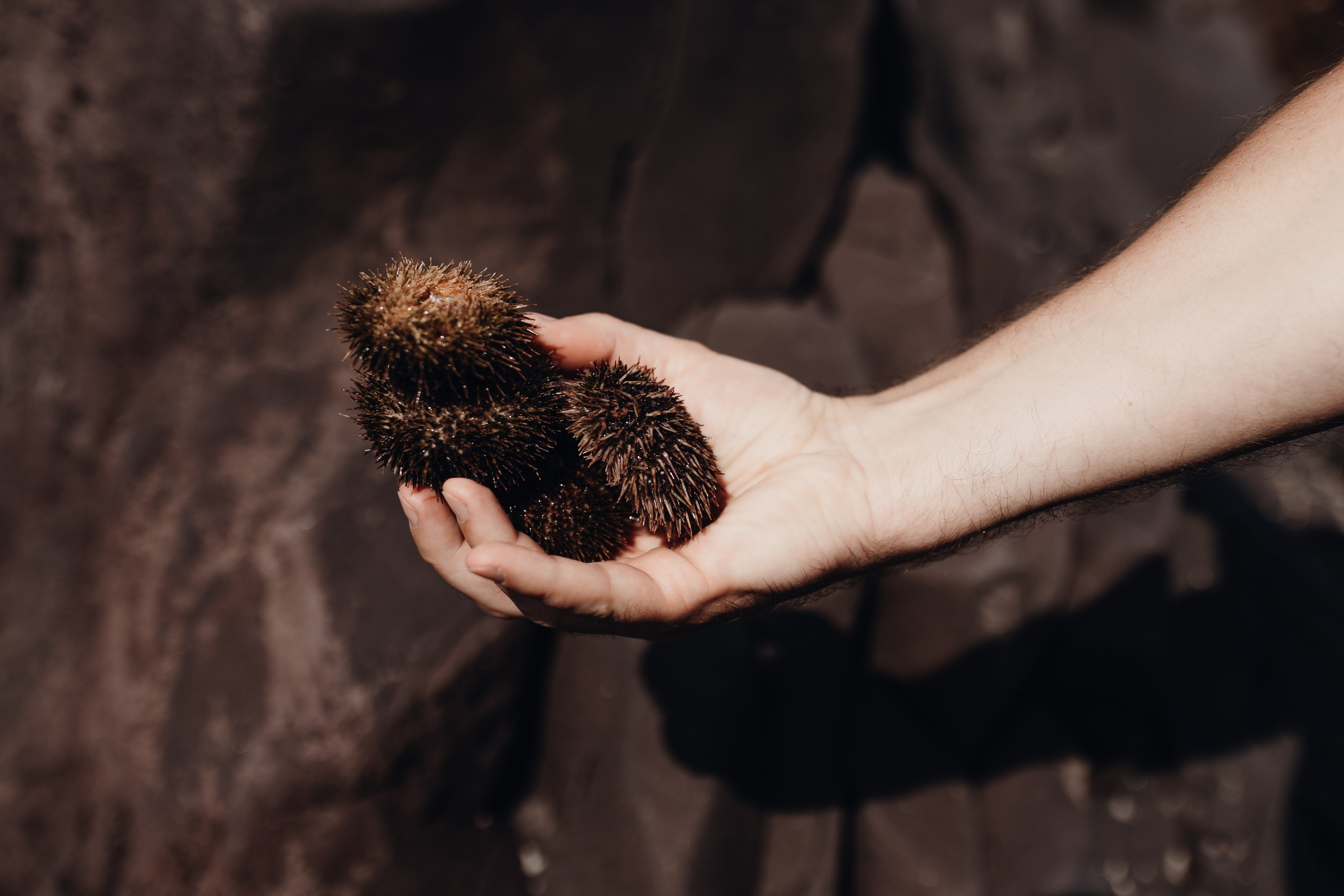 Авторский тур «Оля, куда завтра?!» 2024. Фотограф Итуруп | Курильские острова