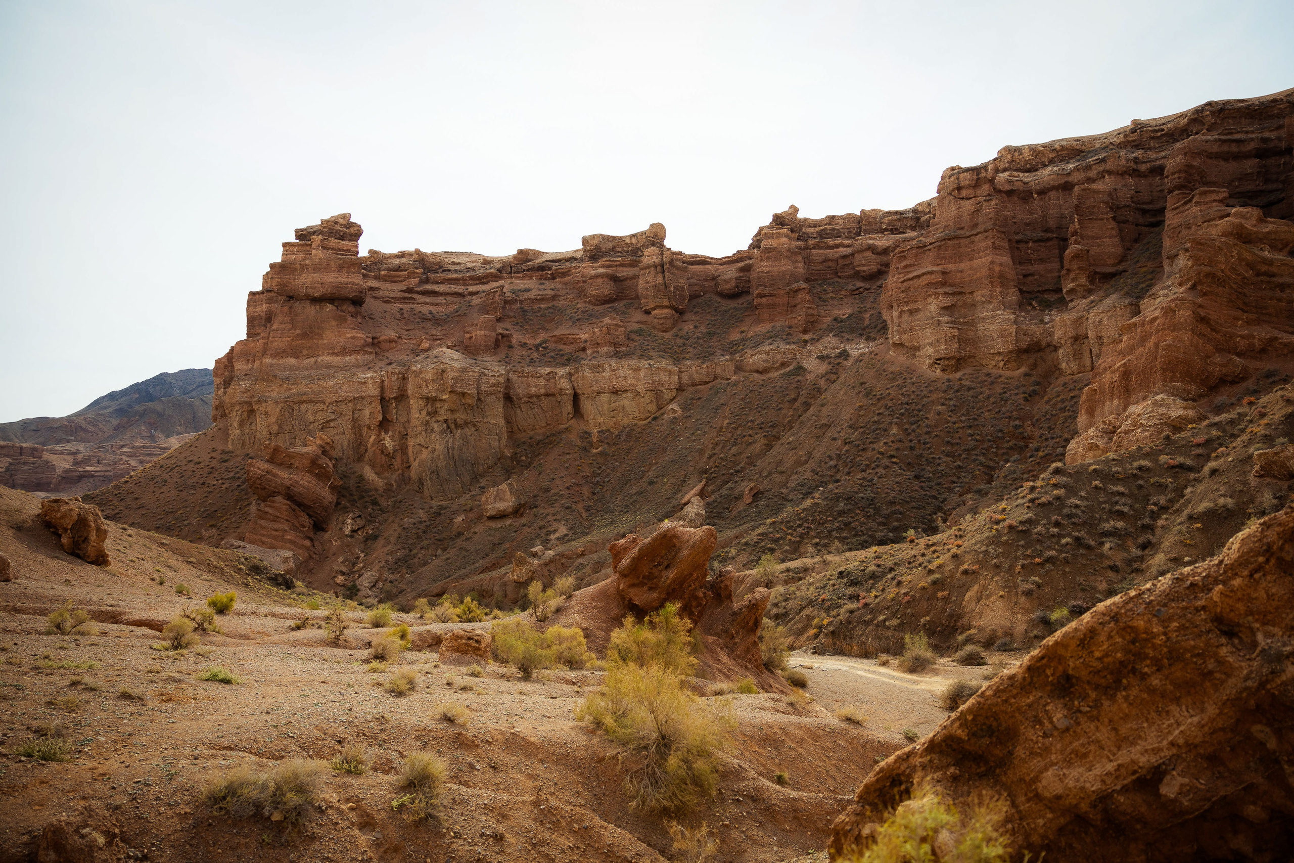 Казахстан (осень 2024). Фотограф Виноградов Константин