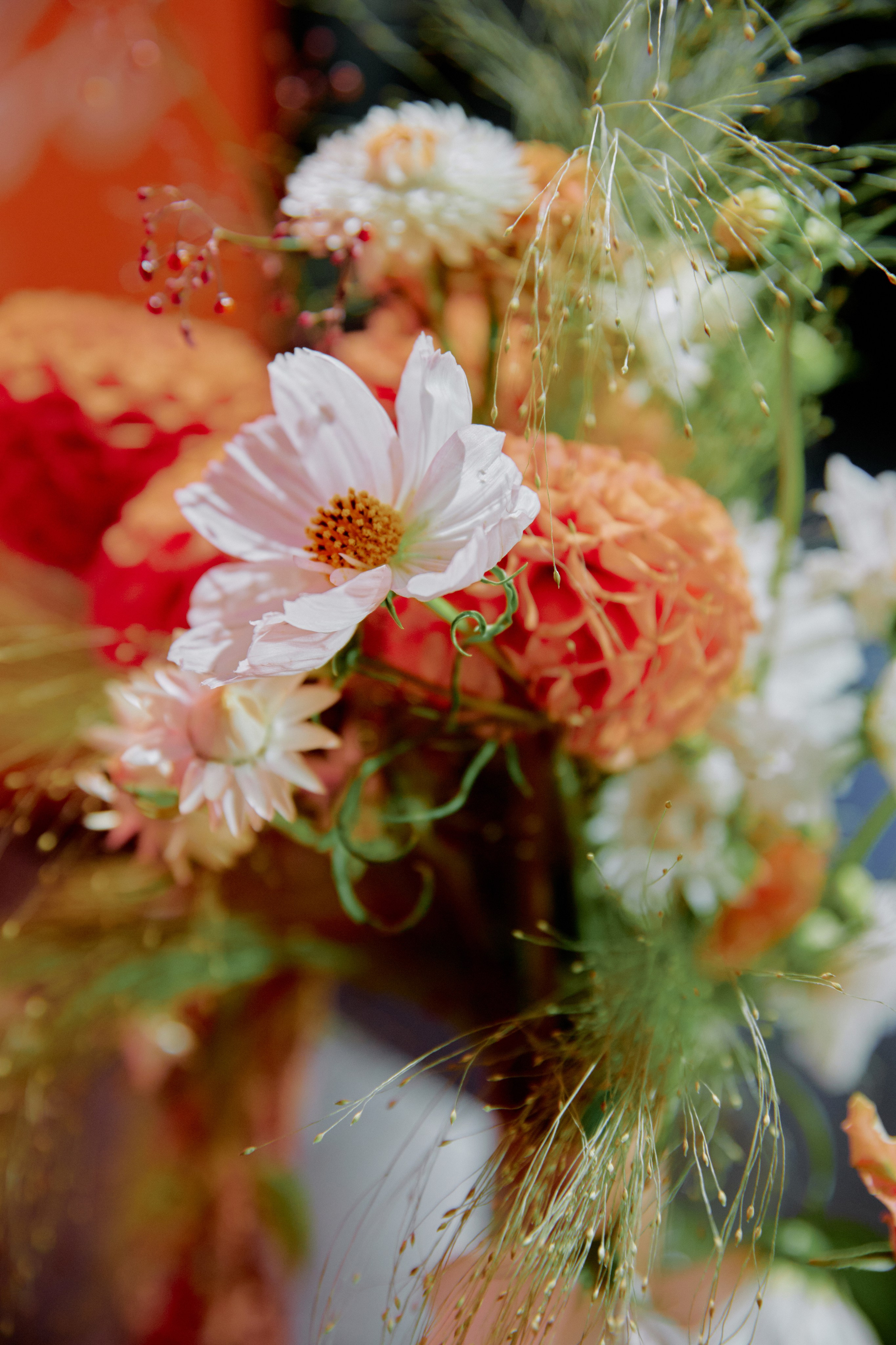 ПЕ-ПЕ-ПЕ. Фотограф Елена Краснопевцева