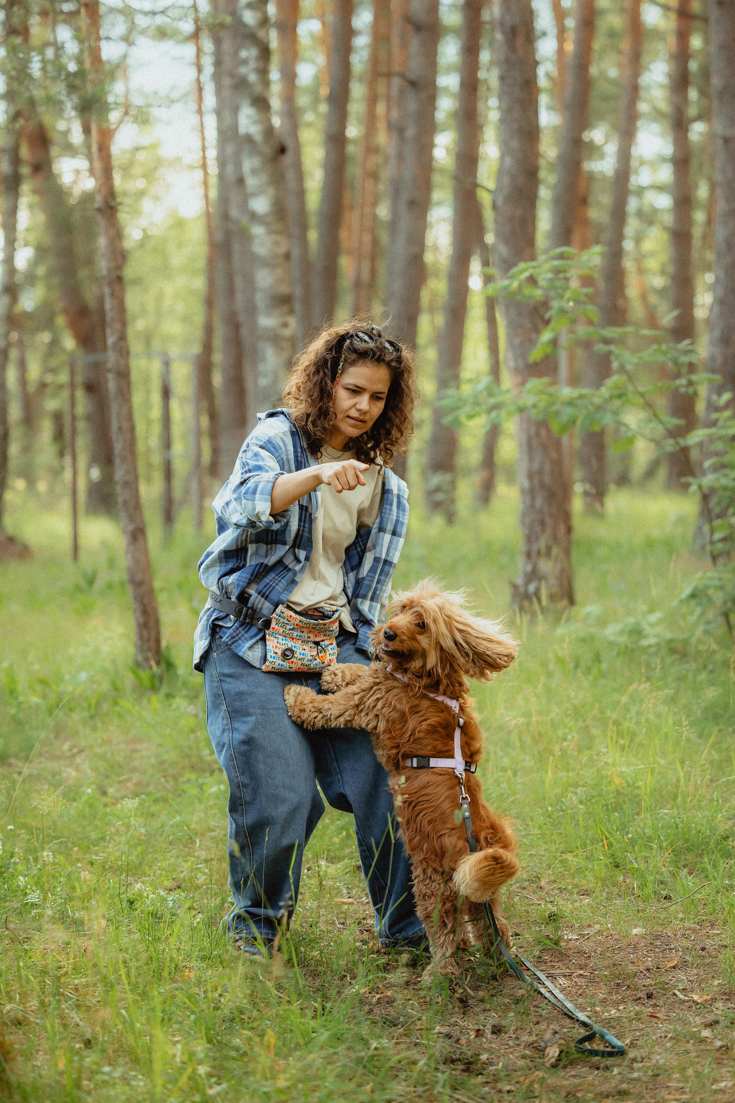 Выездной дог-тренинг от школы «Шерсть имею»