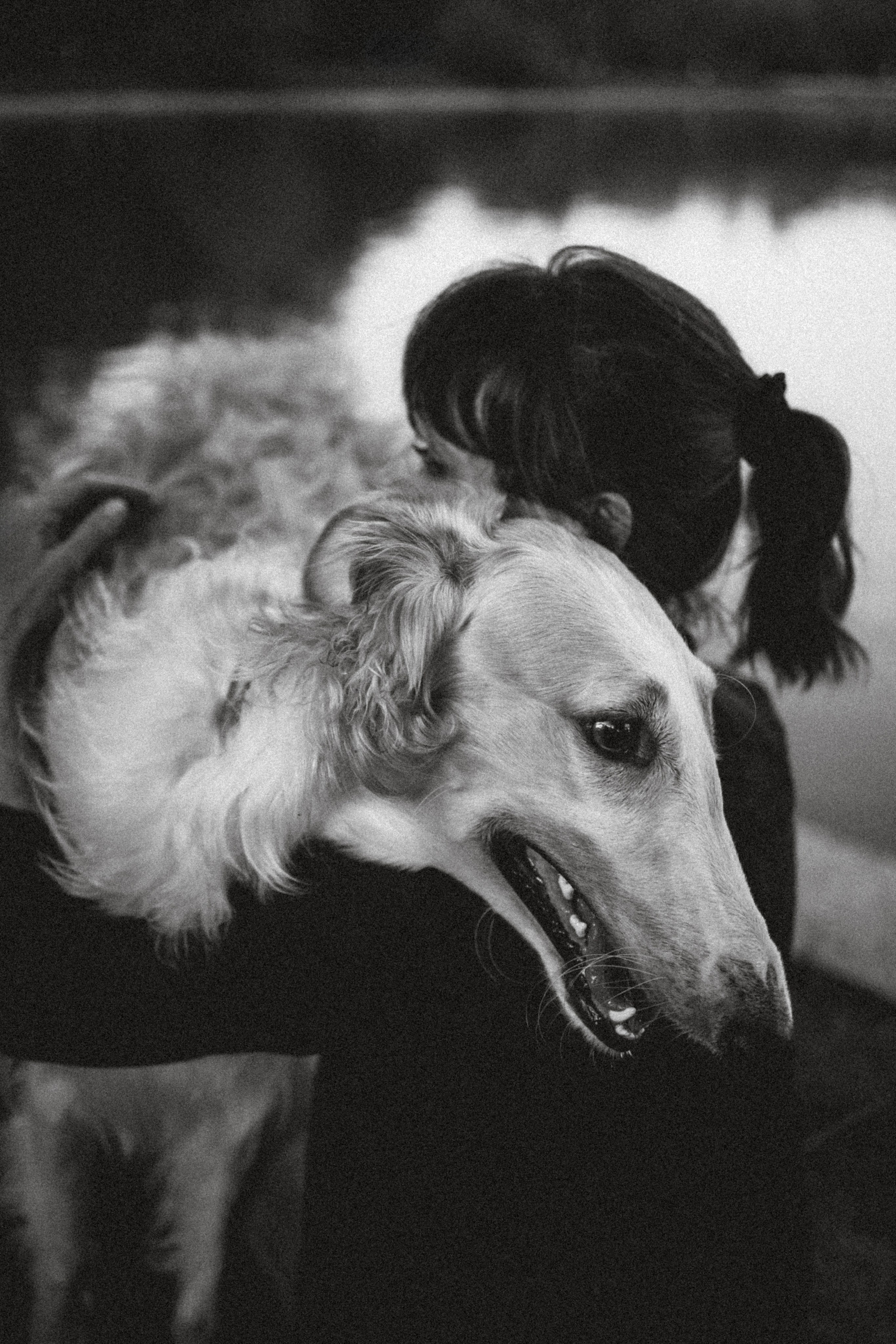 Илай, Зайка и их семья