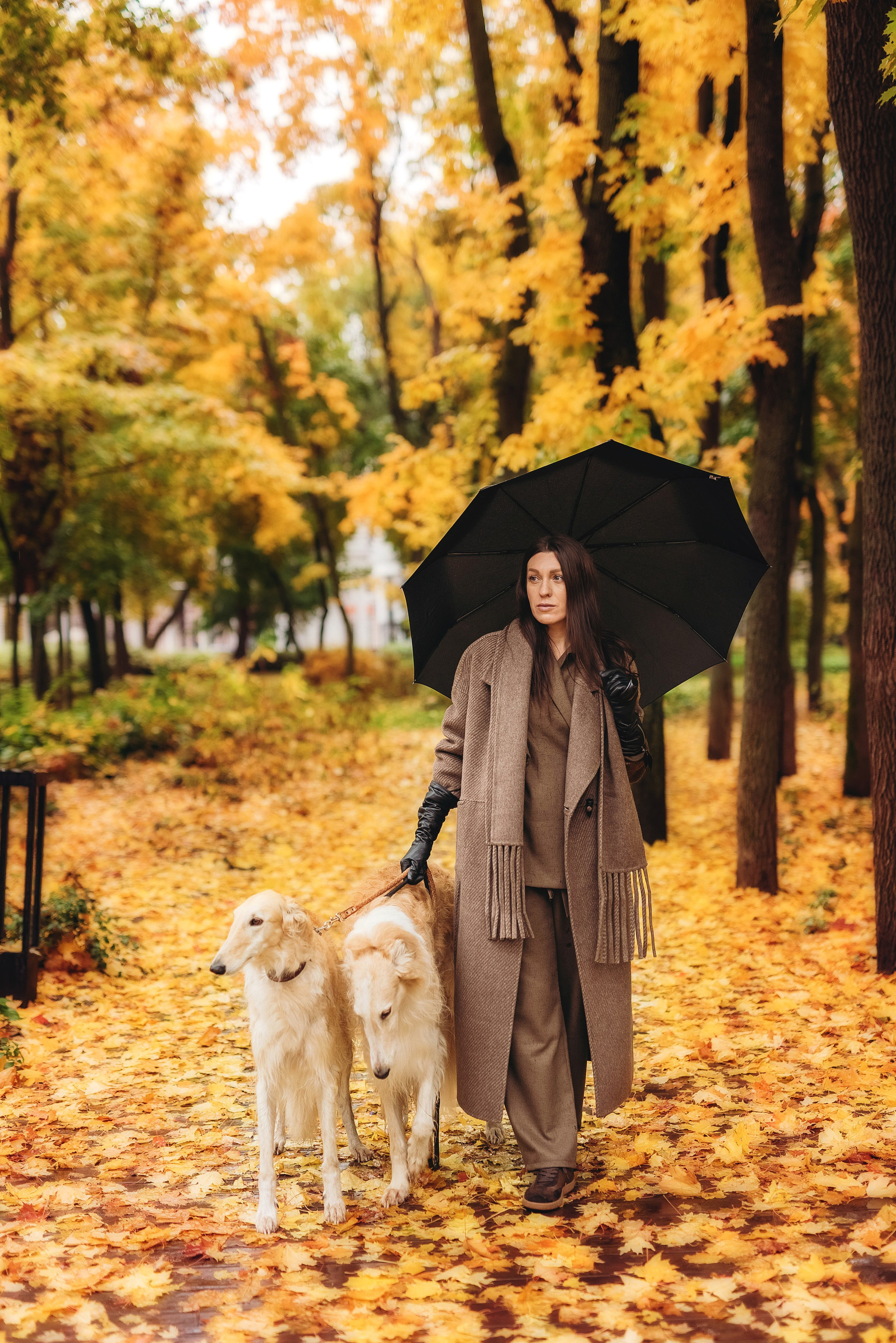 Фотосессия с борзыми. Семейный, детский фотограф в Воронеже Анна Никитина