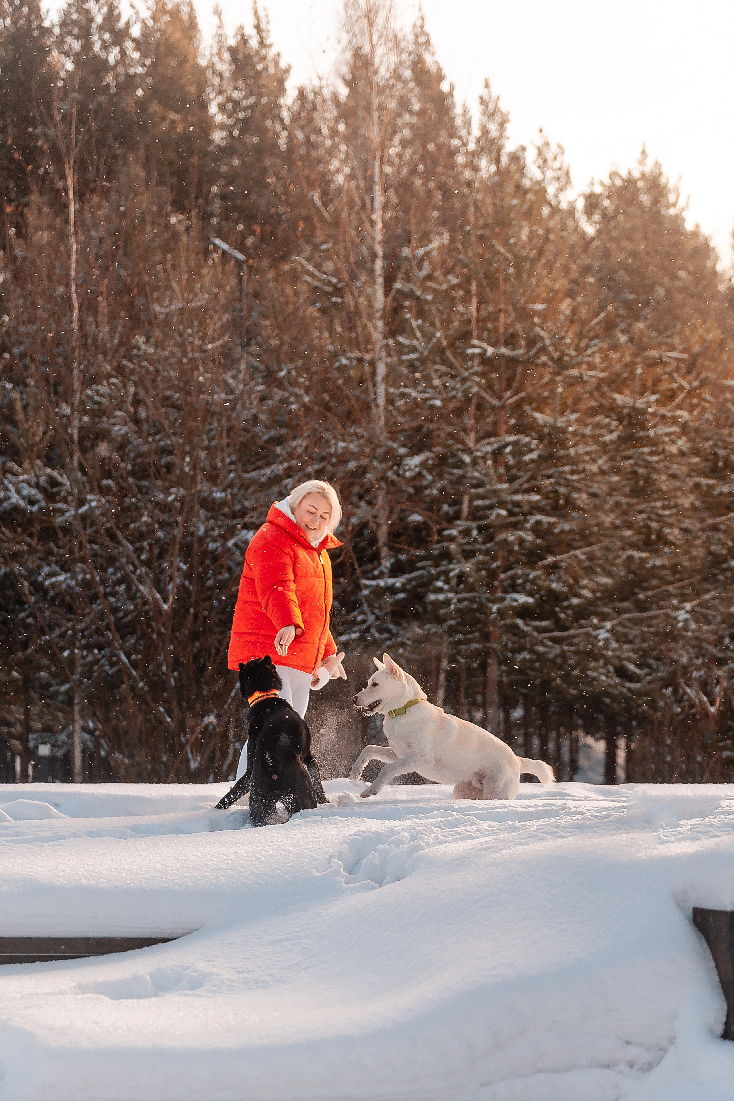 Татьяна, Михаил, Шелли и Лаки. Фотограф-анималист Анастасия Парфенова|Екатеринбург
