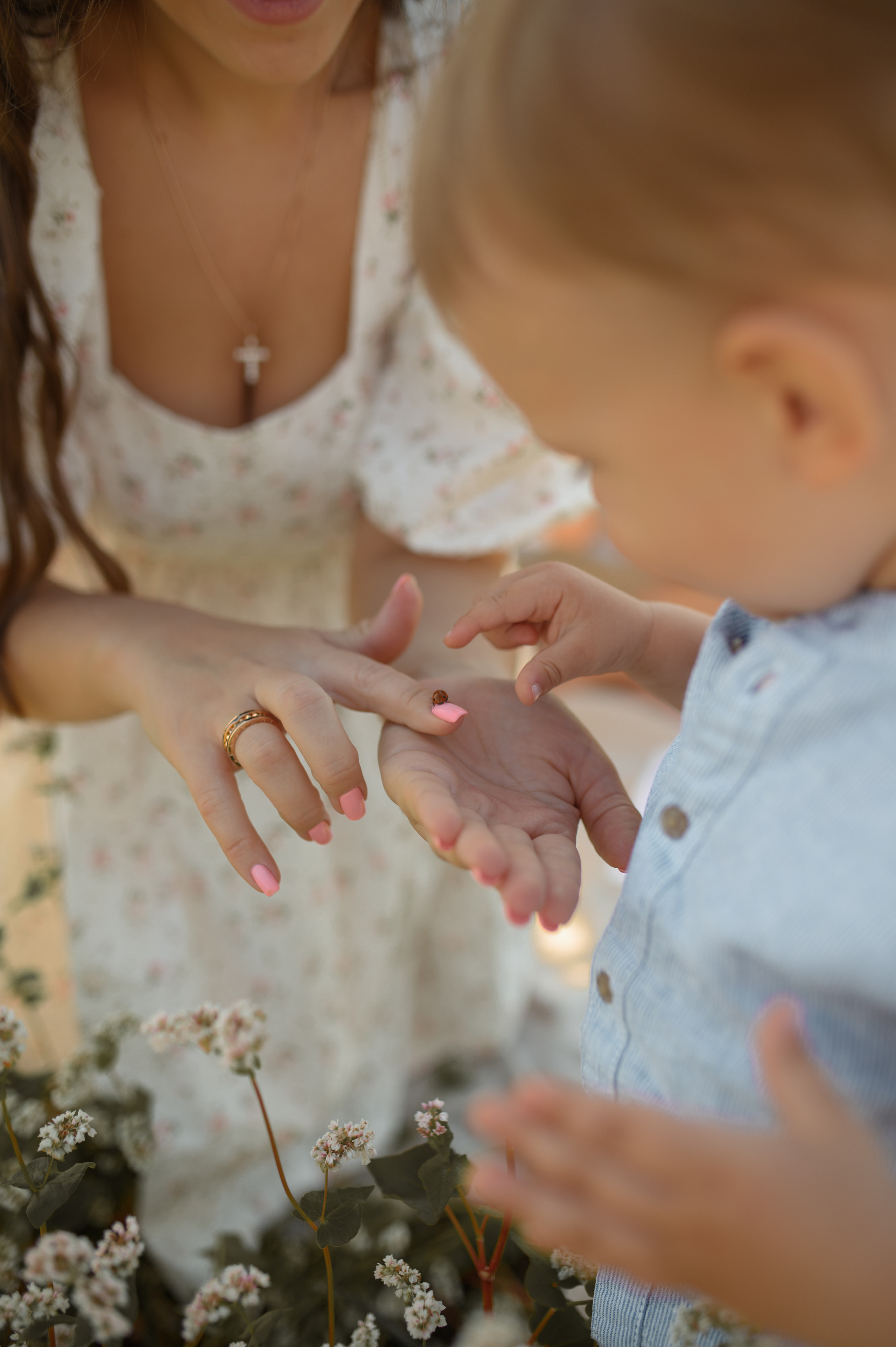 Семейная фотосъёмка в поле. Фотограф в Туле|Москве. Контент-съёмка, женские портреты, репортажные и съёмки для брендов