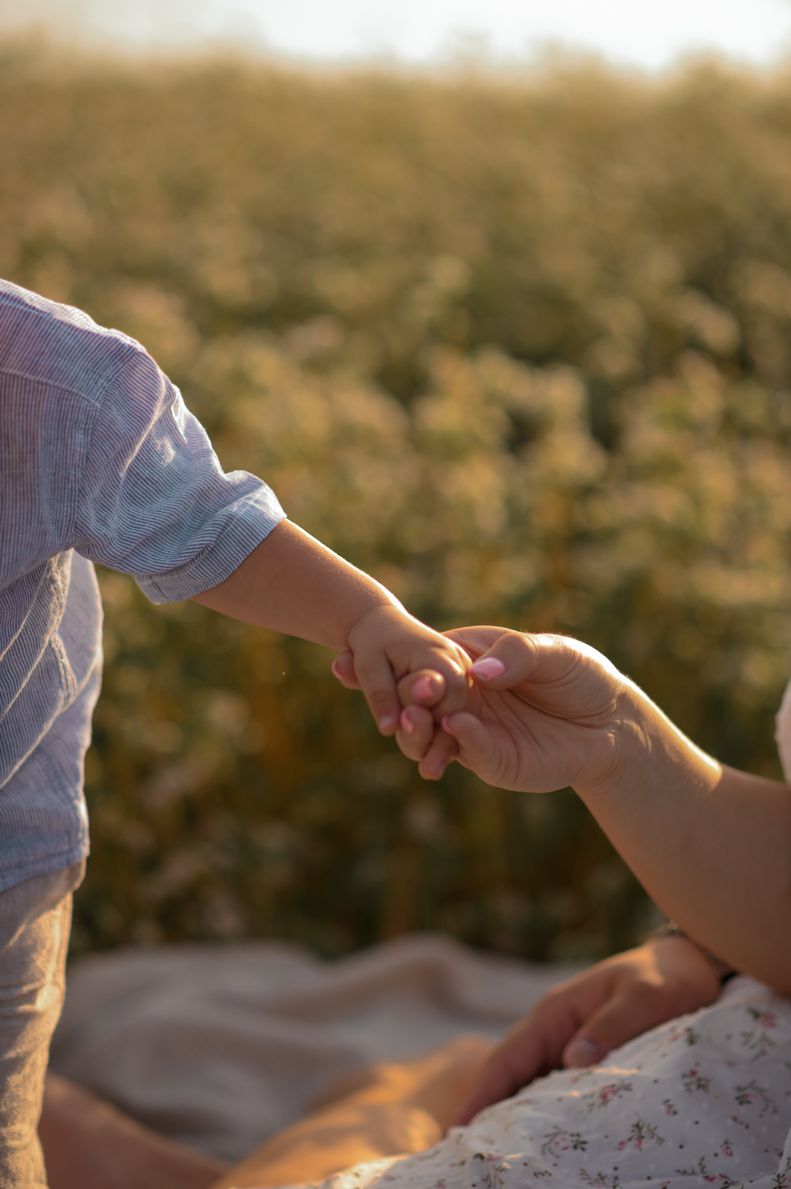 Семейная фотосъёмка в поле. Фотограф в Туле|Москве. Контент-съёмка, женские портреты, репортажные и съёмки для брендов