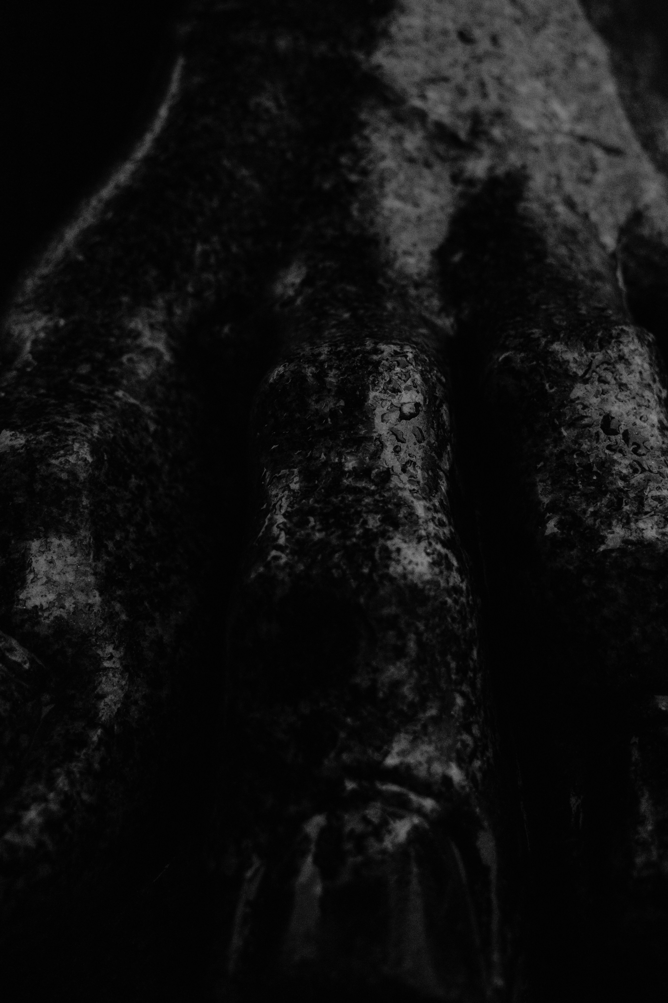 Питер. Портретный и уличный фотограф в Москве Таня Корнеева