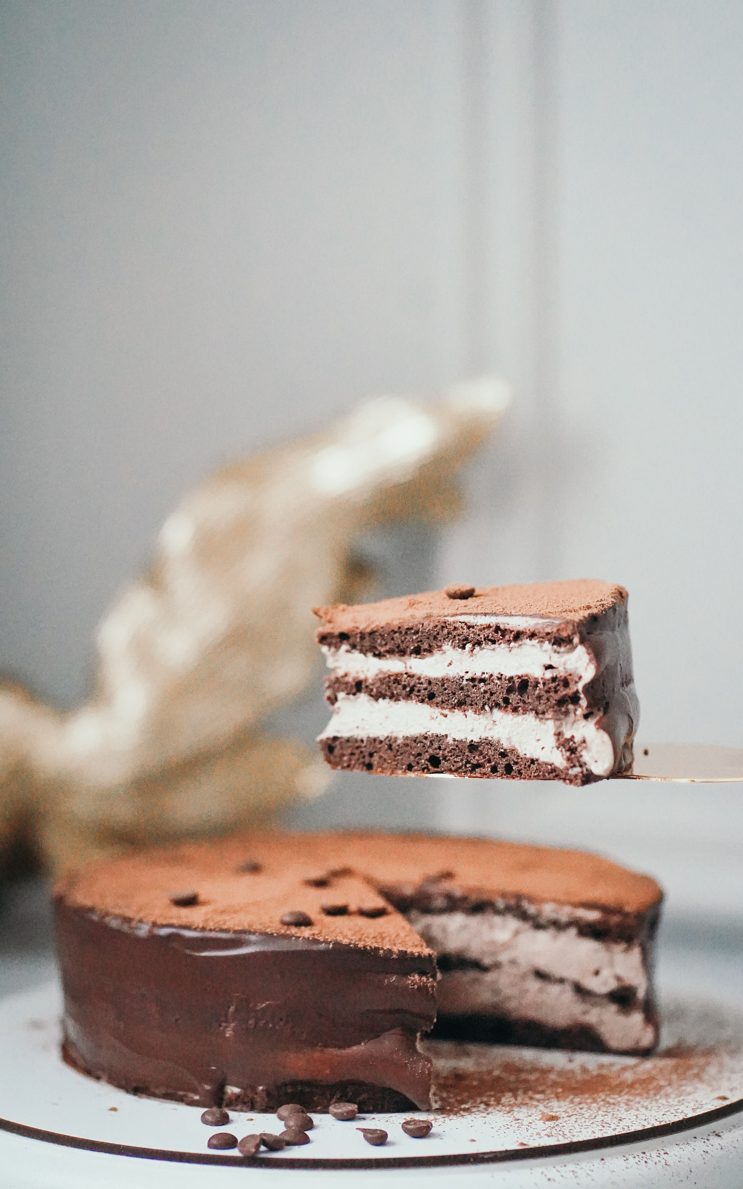 Роза пп-десерты. Семейный и детский фотограф в Москве (Тинао) Галкина Алевтина