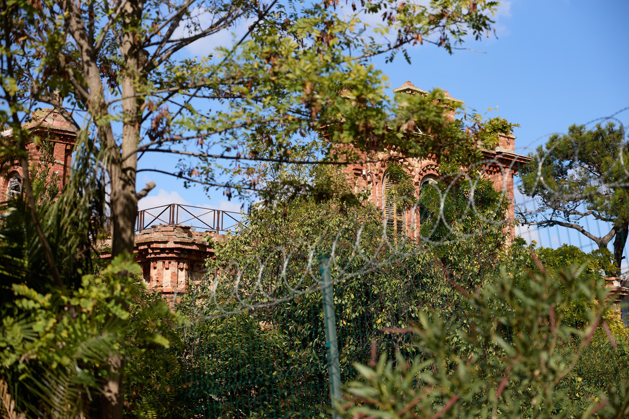 Стамбул 24. Фотограф Москва, Дима Пеллер