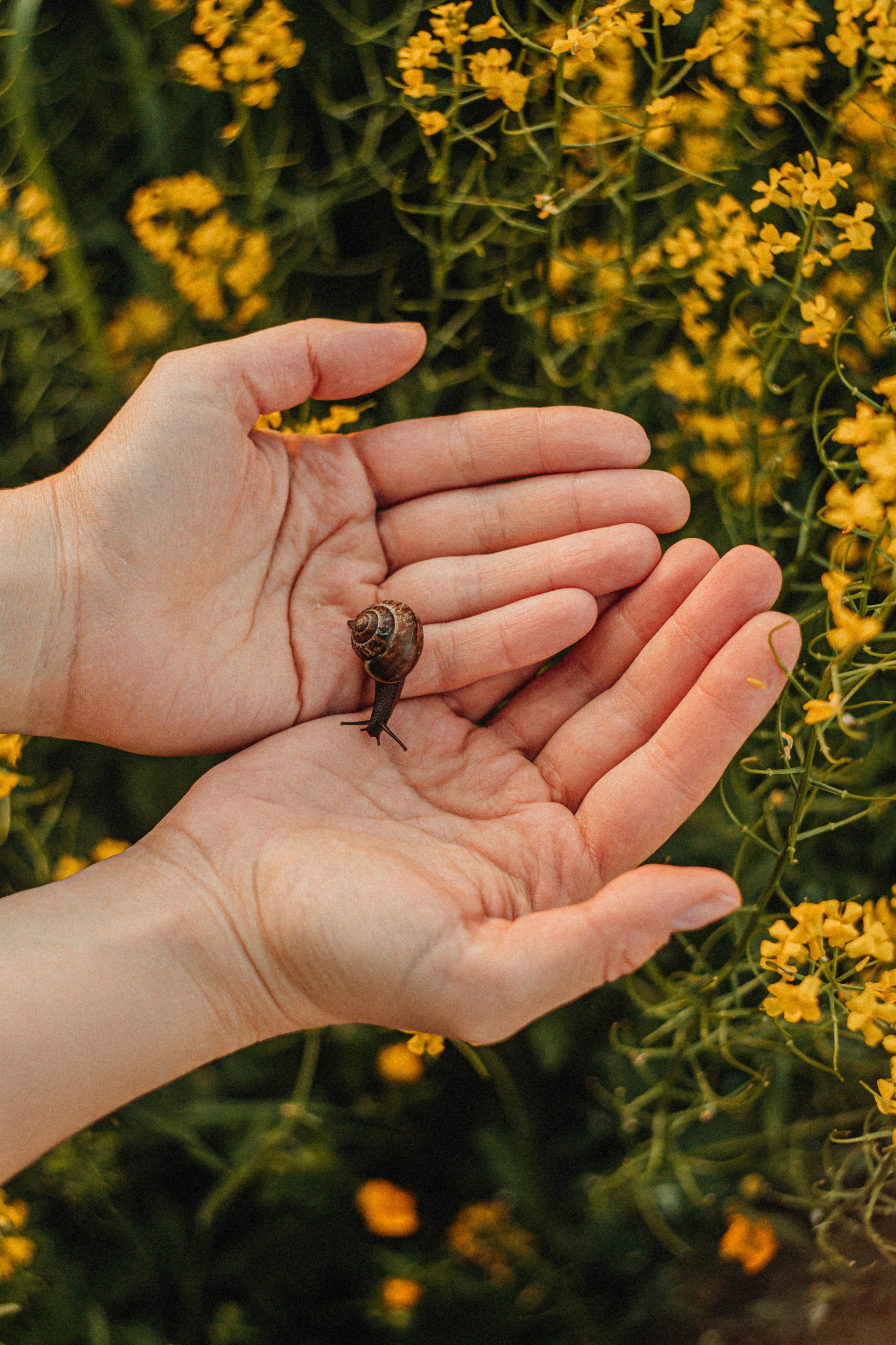 JULIA. Портретный и Семейный фотограф в Санкт-Петербурге Rocket Alice