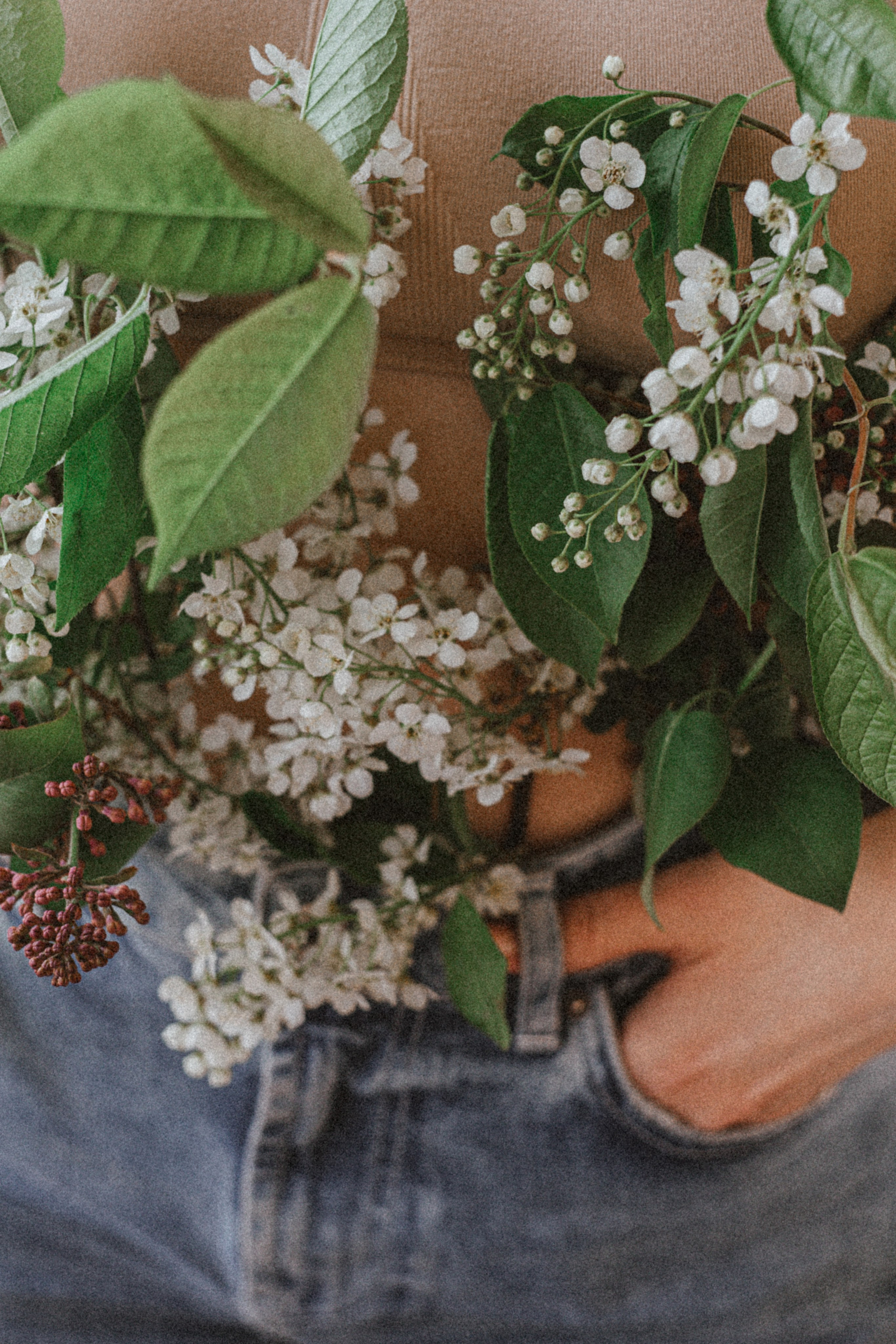 NASTYA. Портретный и Семейный фотограф в Санкт-Петербурге Rocket Alice