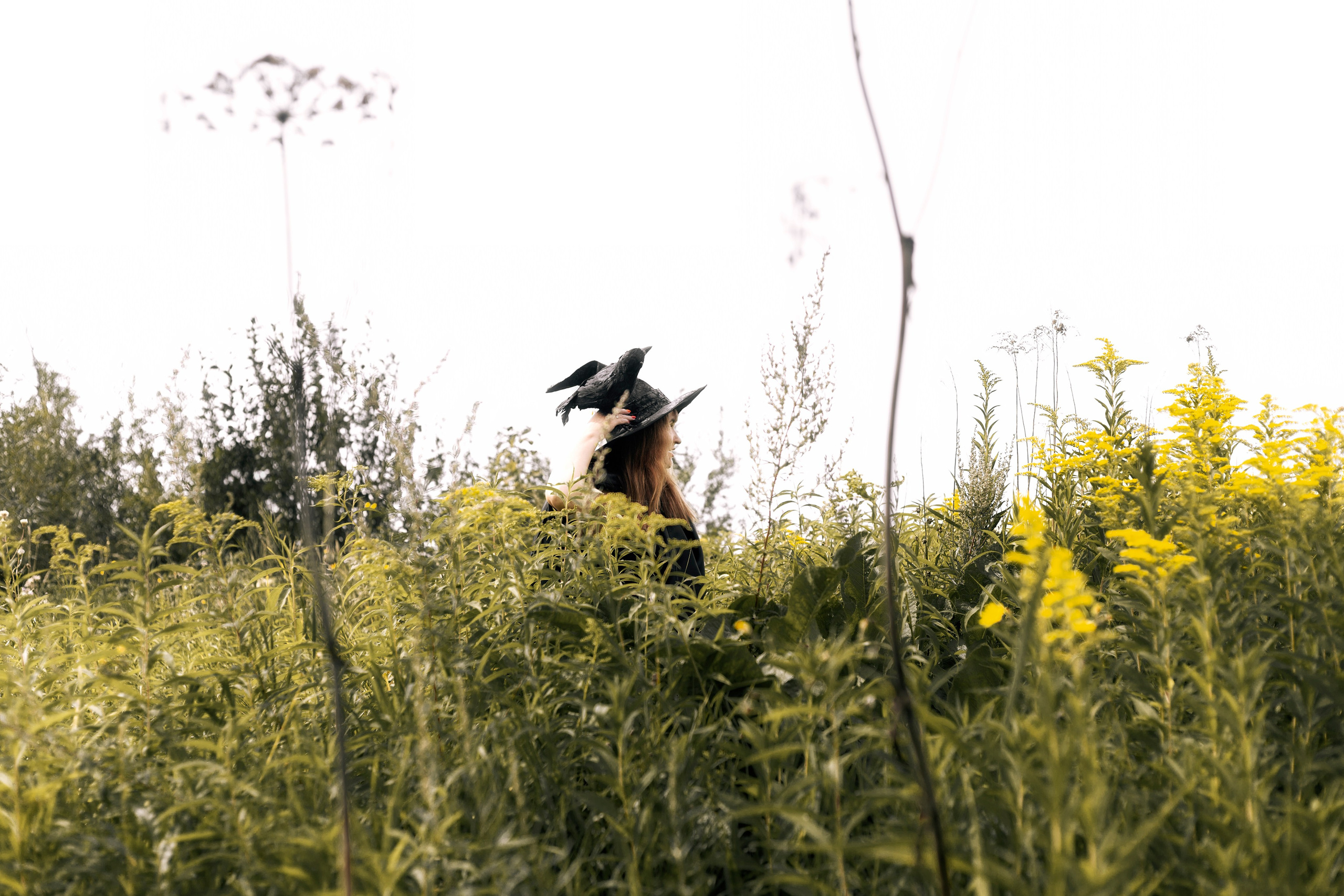 Творческие съемки. PROphoto