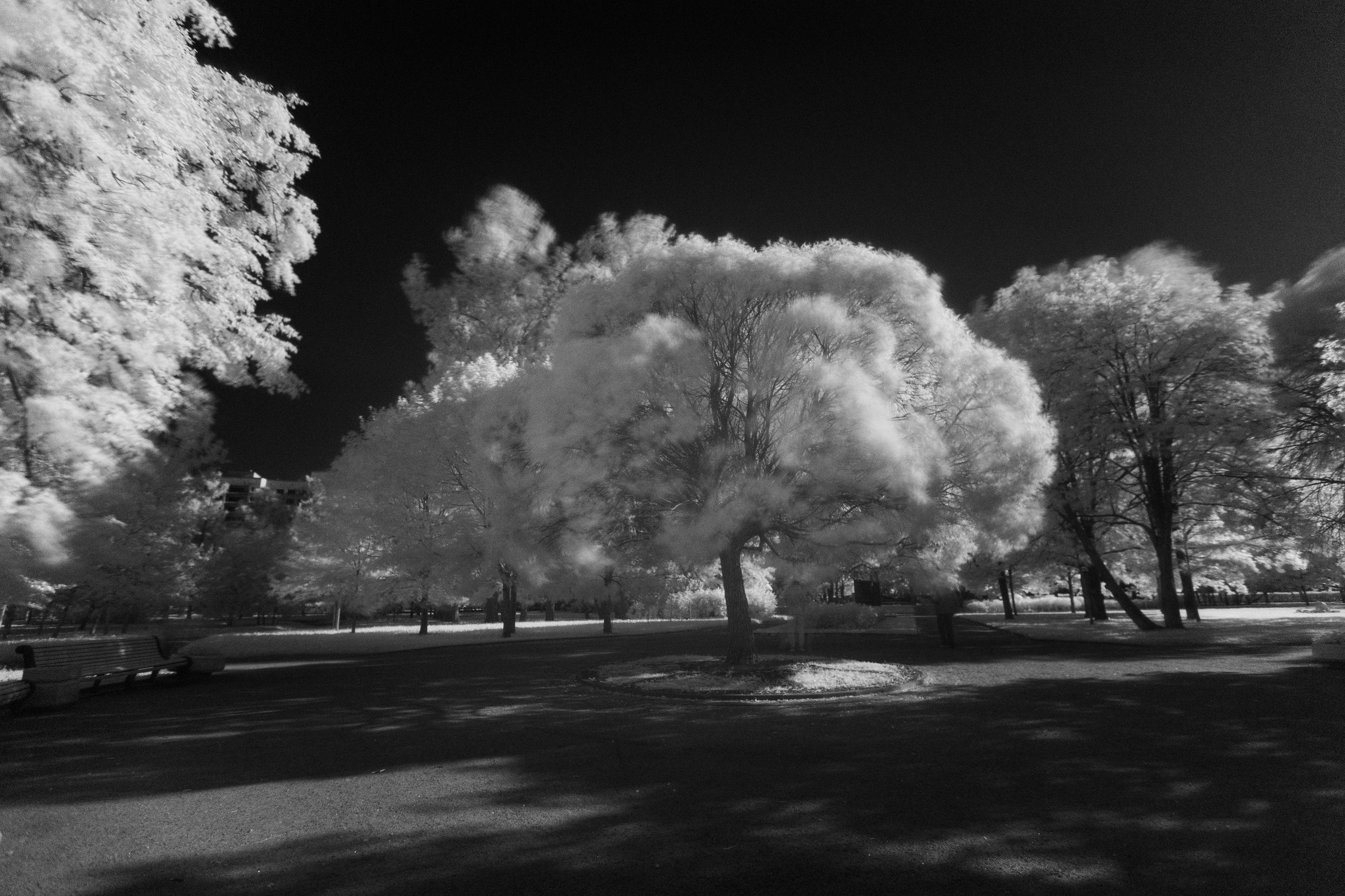Пейзаж. Фотограф Твердохлебова Дарья, г. Санкт-Петербург