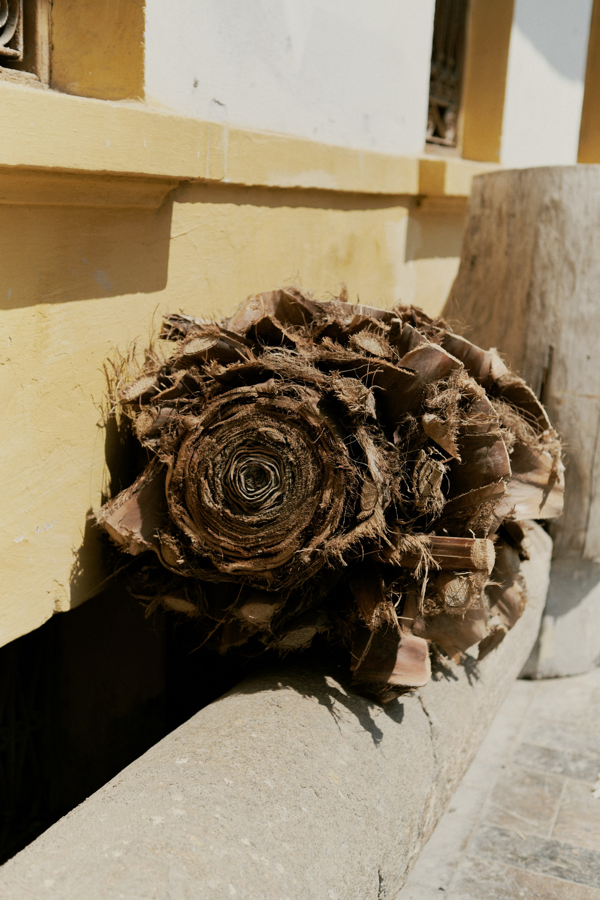 Turkey Street Lookbook / Conincon Production. DISEMICHASNOVA