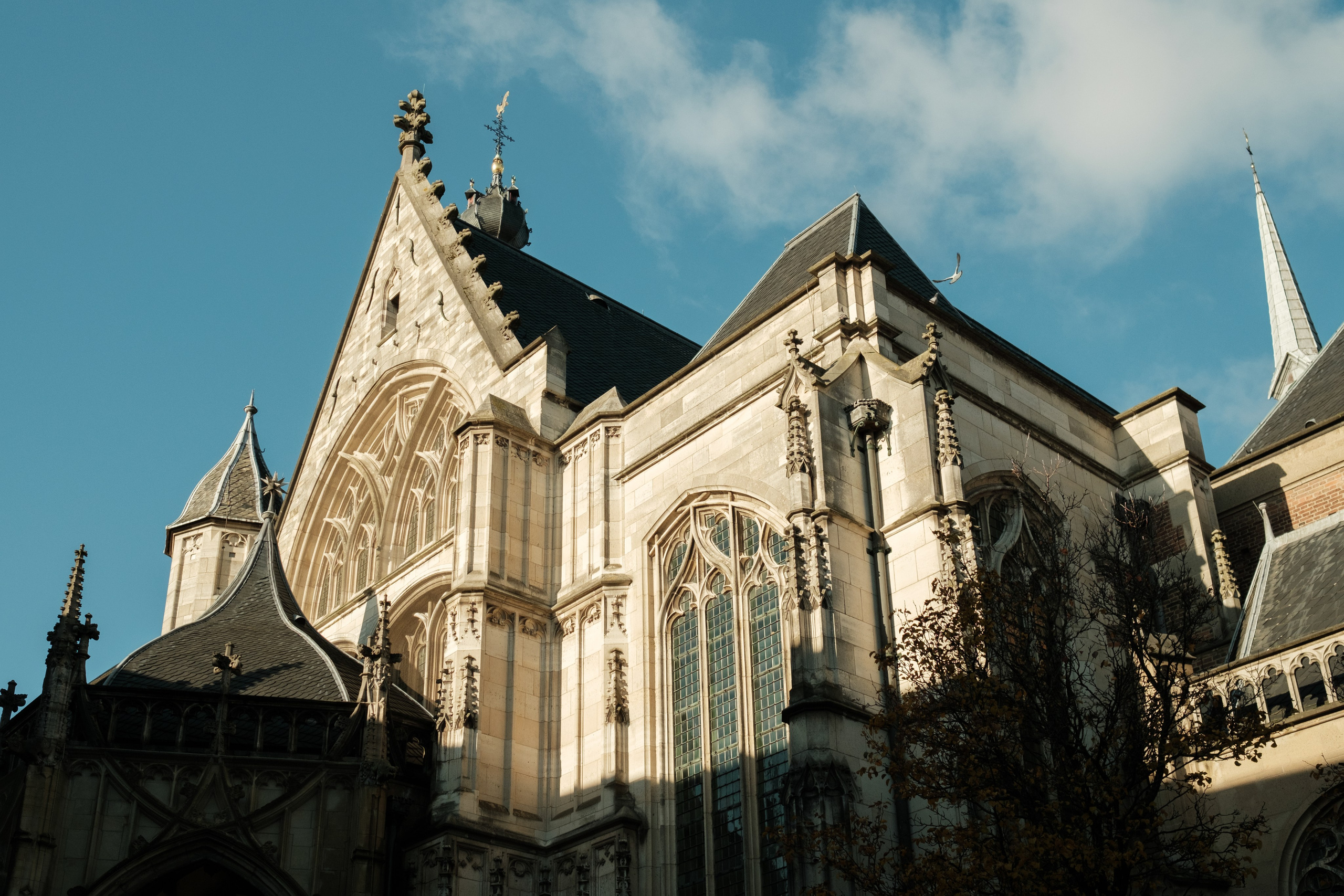 Фотографии Нидерландов | Филипп Линзин. Репортажный и портретный фотограф в Санкт-Петербурге Филипп Линзин