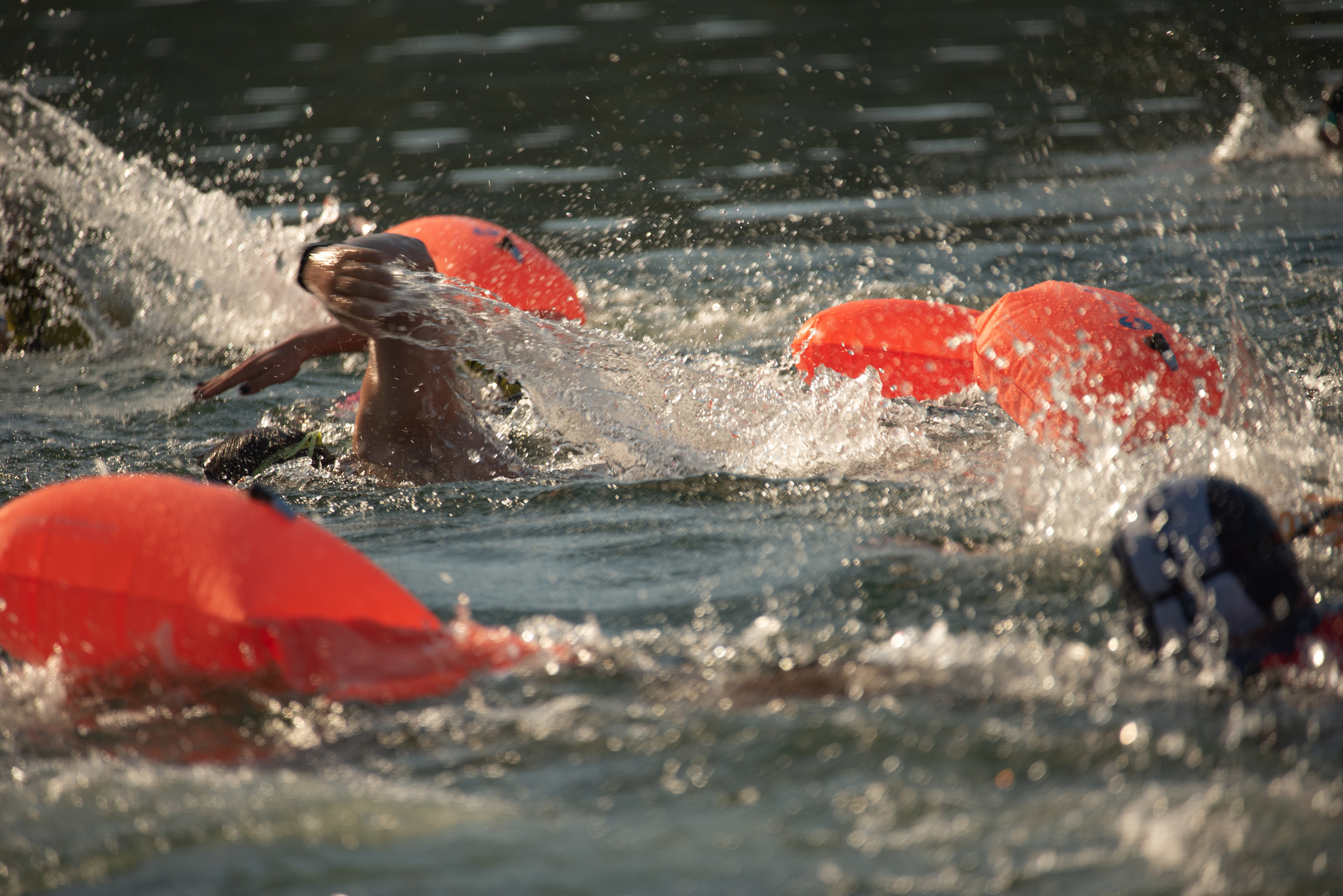 АКВАТЛОН_Чемпионат Севастополя. Творческий фотограф в Севастополе — Антонина Марченко