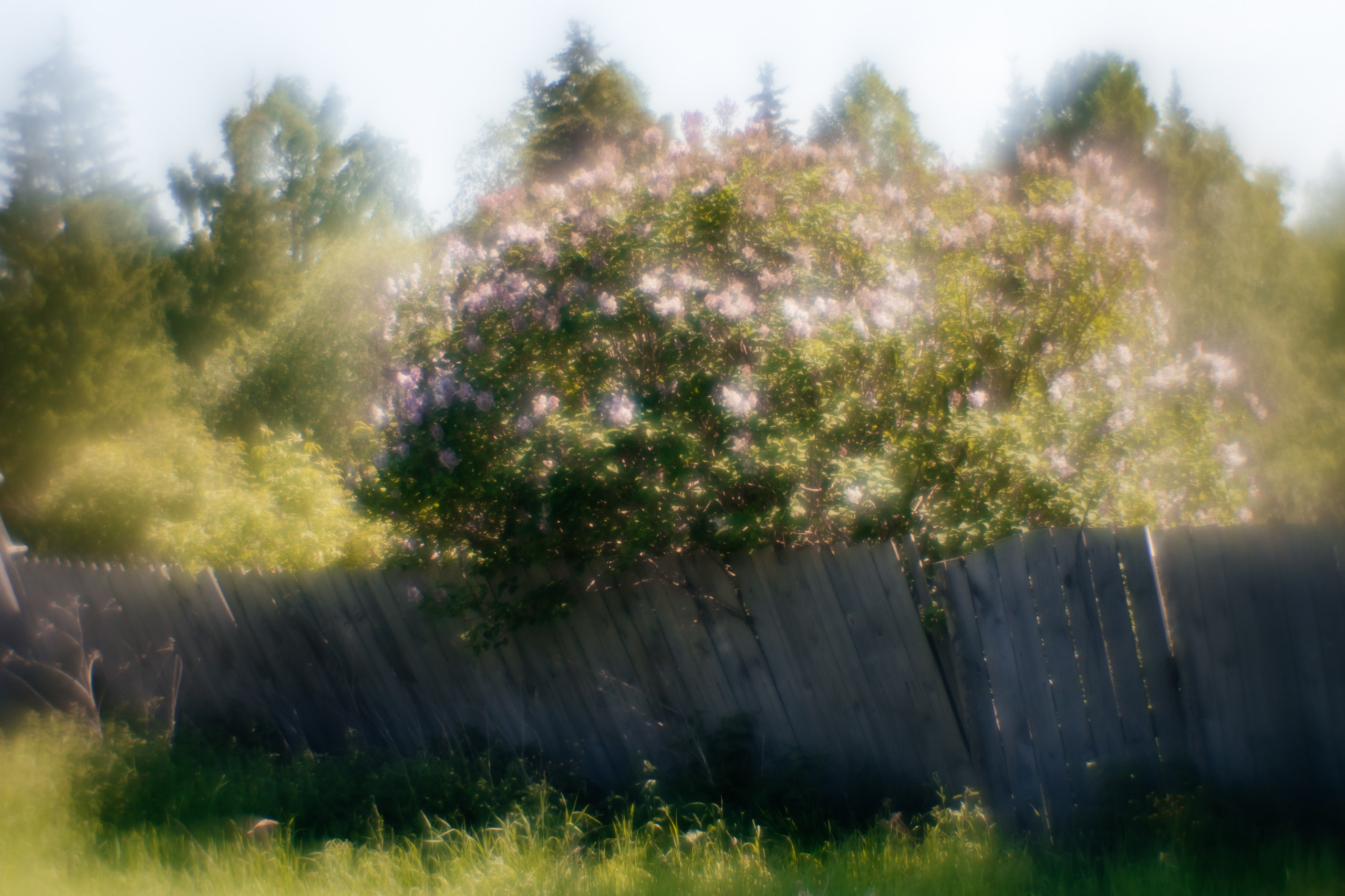 Сны о детстве. Фотограф в Красноярске Оксана Корчагина