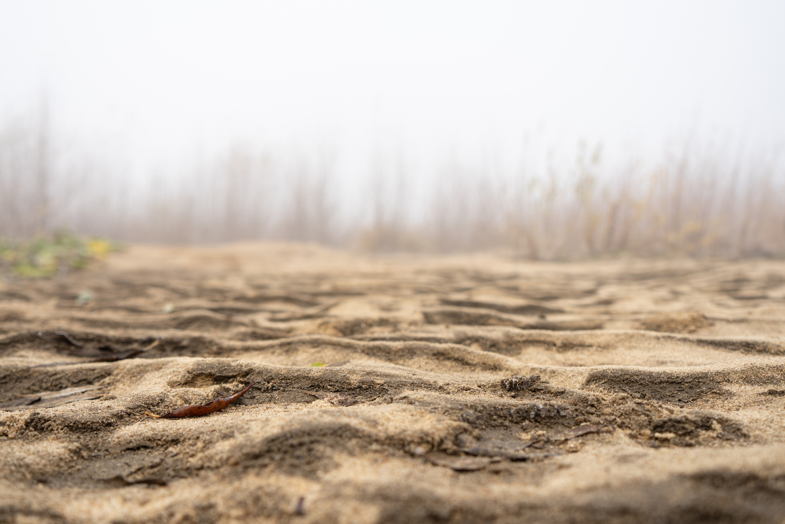 Связь с фотографом. Лиза Фирстова