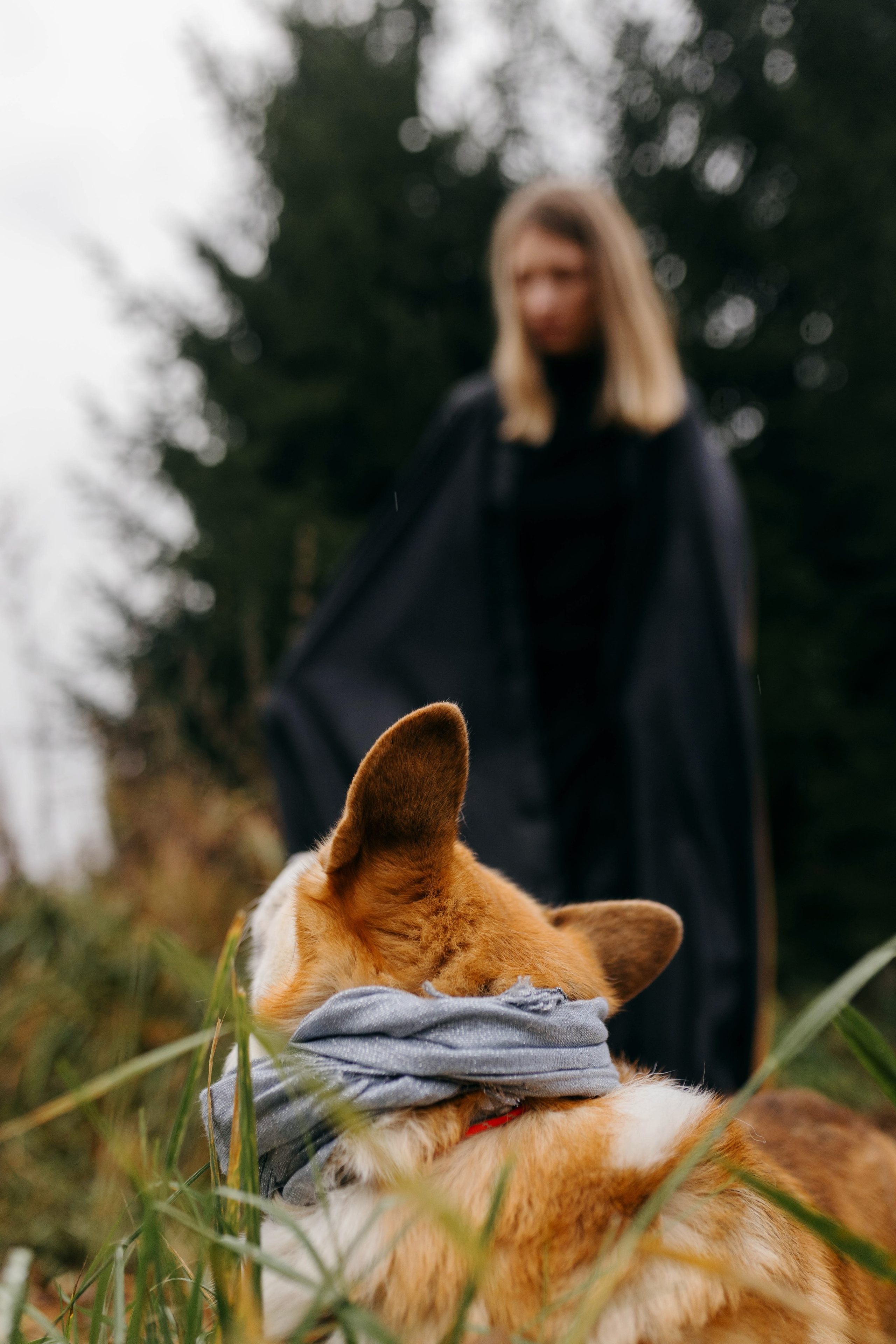 Dog camp / Аня и Бенджи. Фотограф Кузина Вера