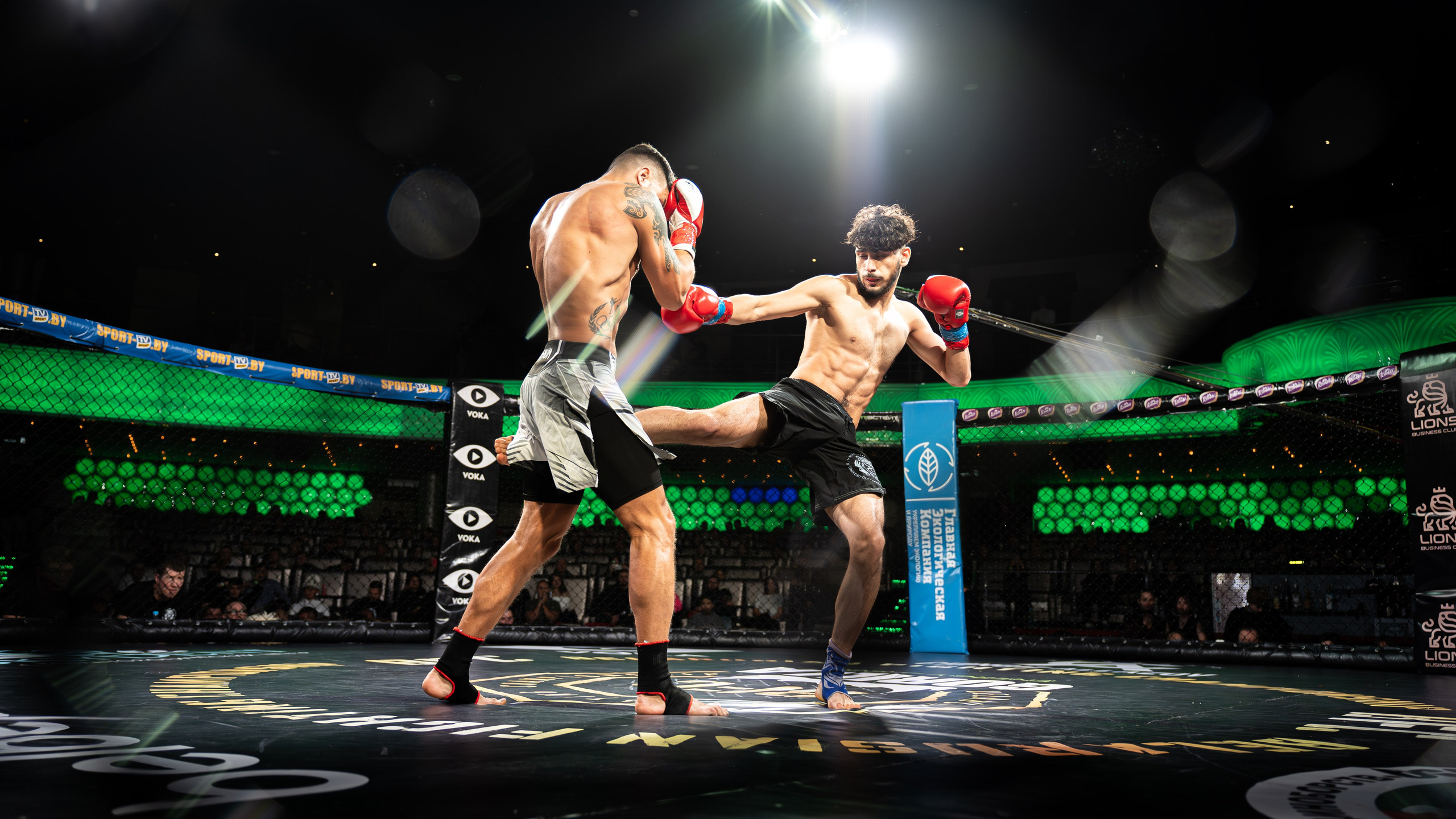 BFC — 75. Профессиональный фотограф в Минске Александр Быдрицкий