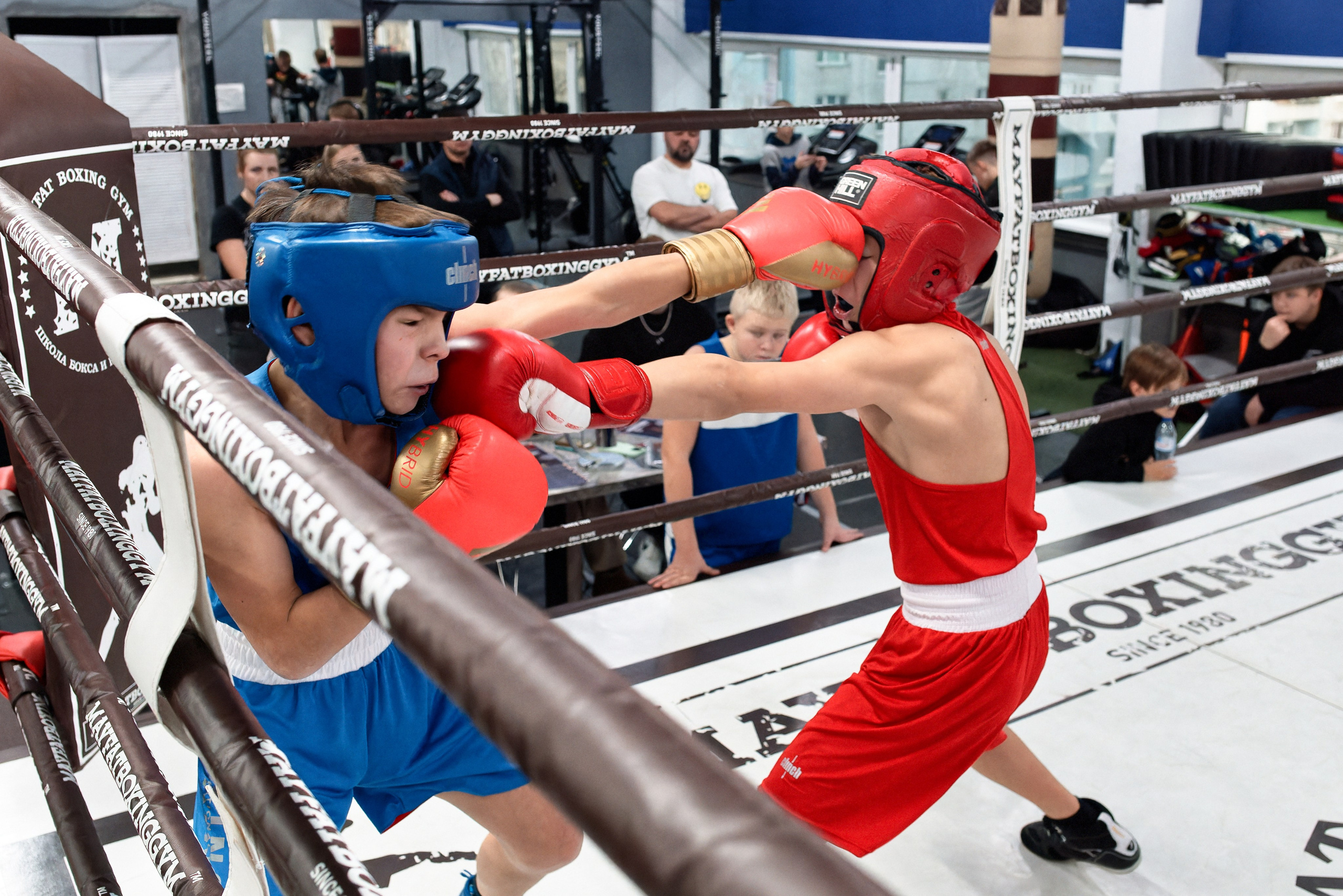 «Открытый ринг» в школе бокса Сергея Майфата. Зеленоград, 12.11.2023 г. Фотограф Никифоров-Гордеев Сергей. Москва и МО