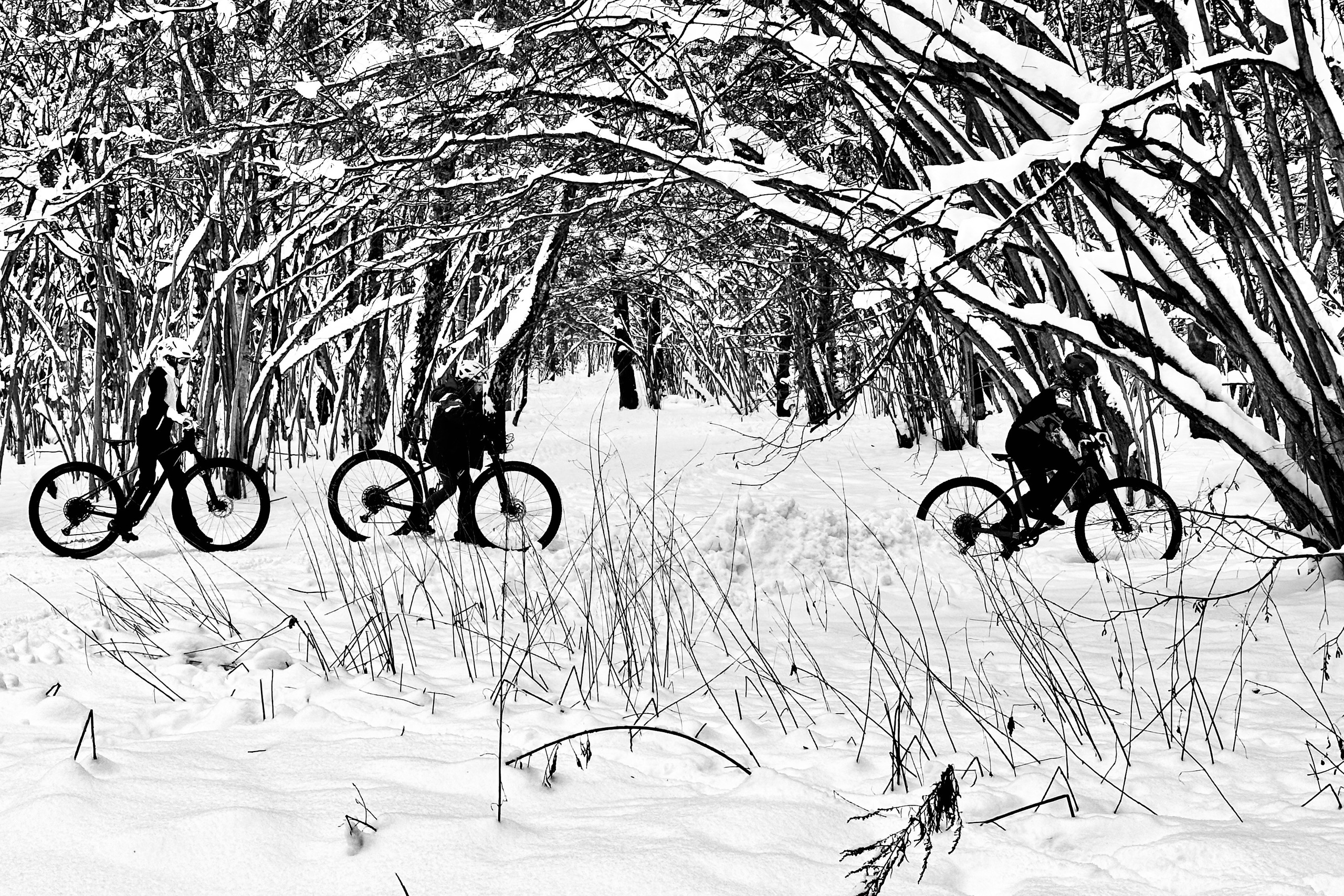 Чёрно-белая зима 25-26. Фотосессии и репортаж — Фотограф в Москве — Рина Серёгина