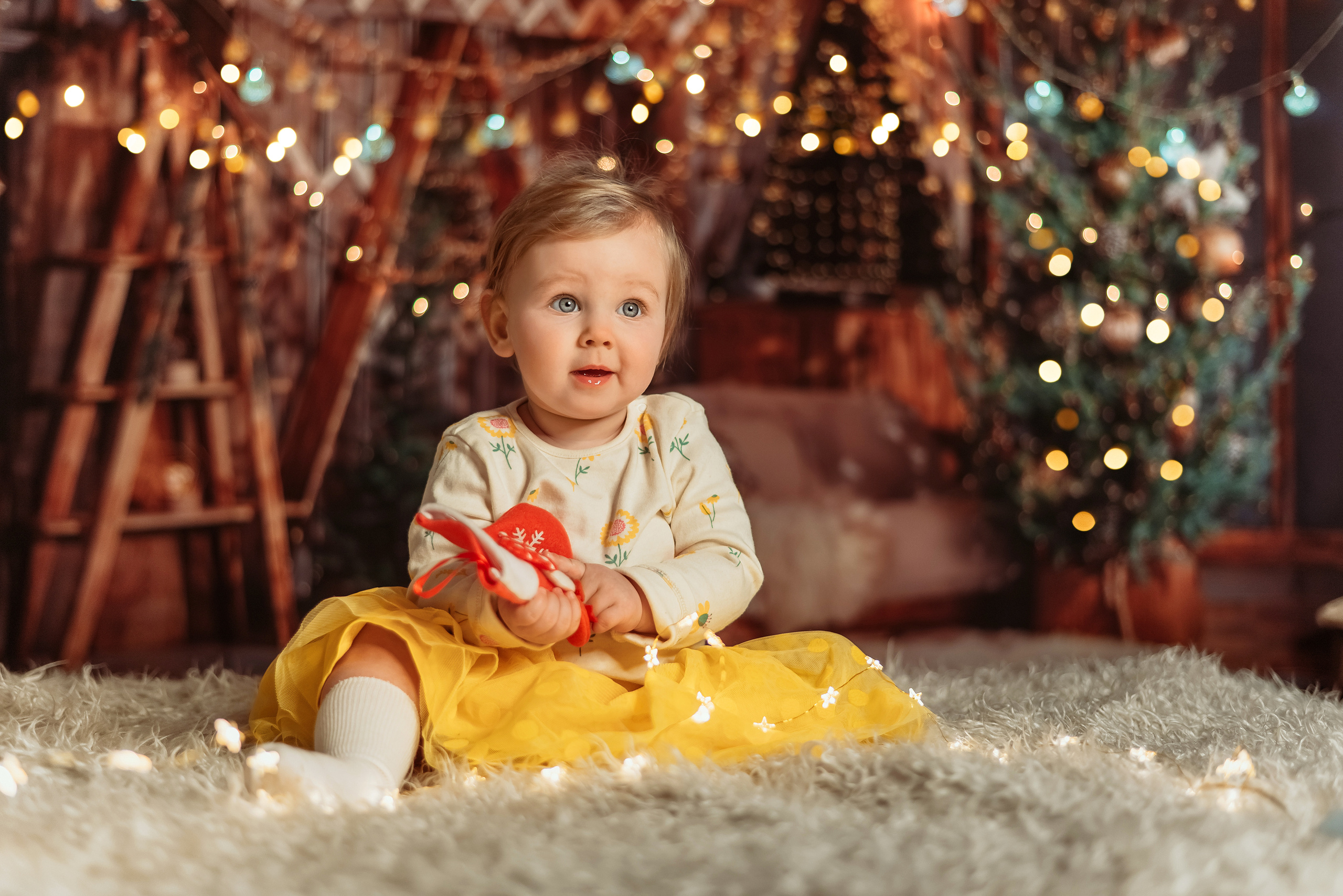 Екатерина новый год. Фотограф в Гродно Ольга Лукуть