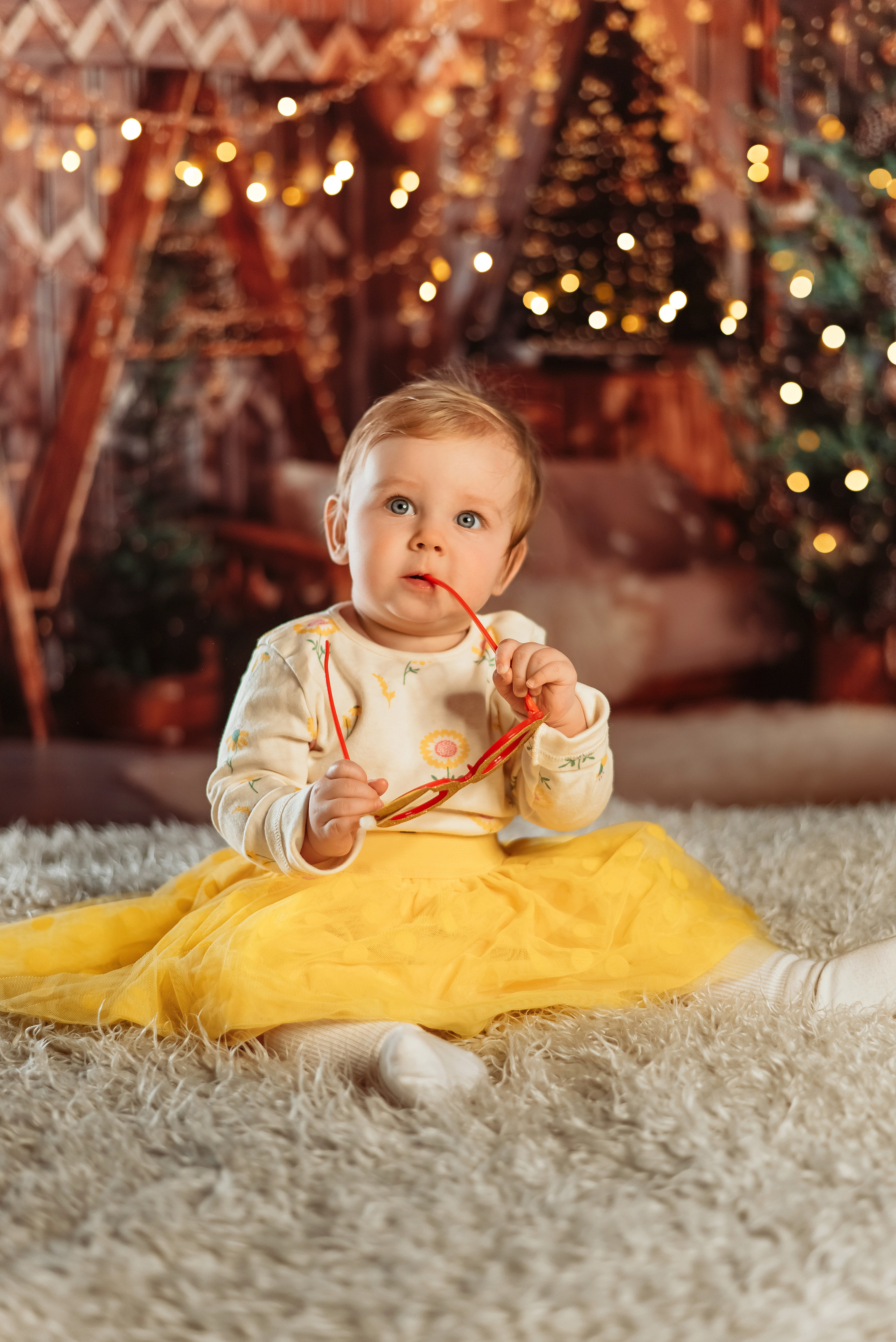 Екатерина новый год. Фотограф в Гродно Ольга Лукуть