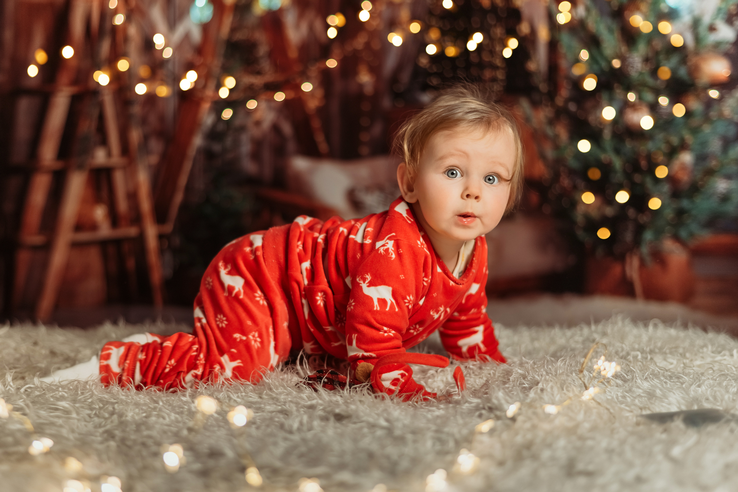Екатерина новый год. Фотограф в Гродно Ольга Лукуть