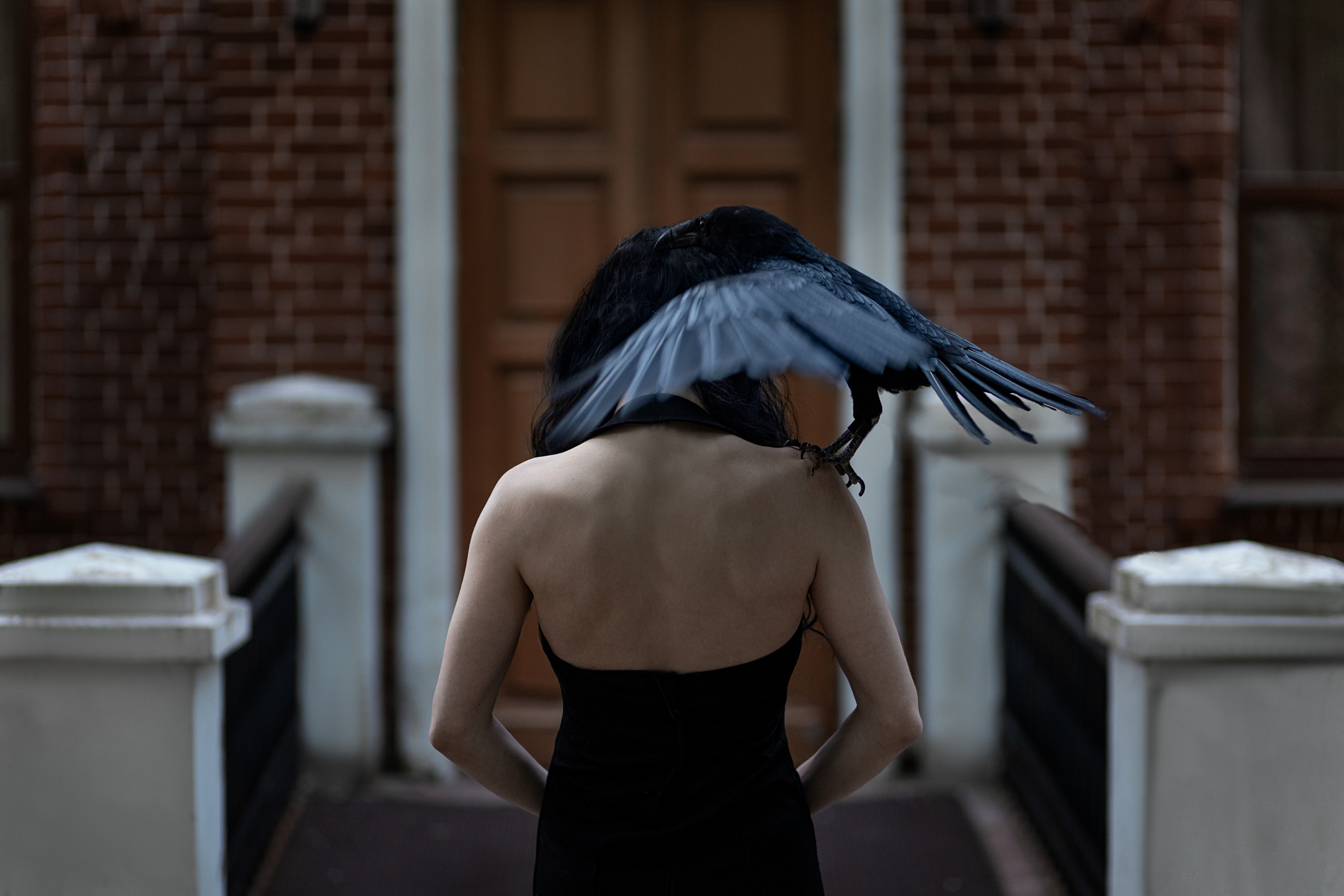 Свадебный фотограф в Обнинске (Москва) Каяна Лис. Фотограф Каяна Лис