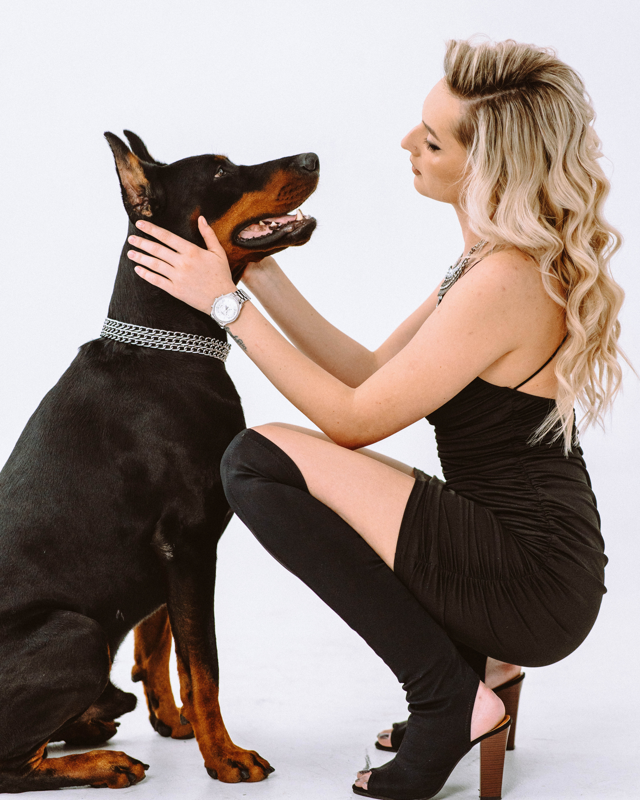 Фотодень с доберманом